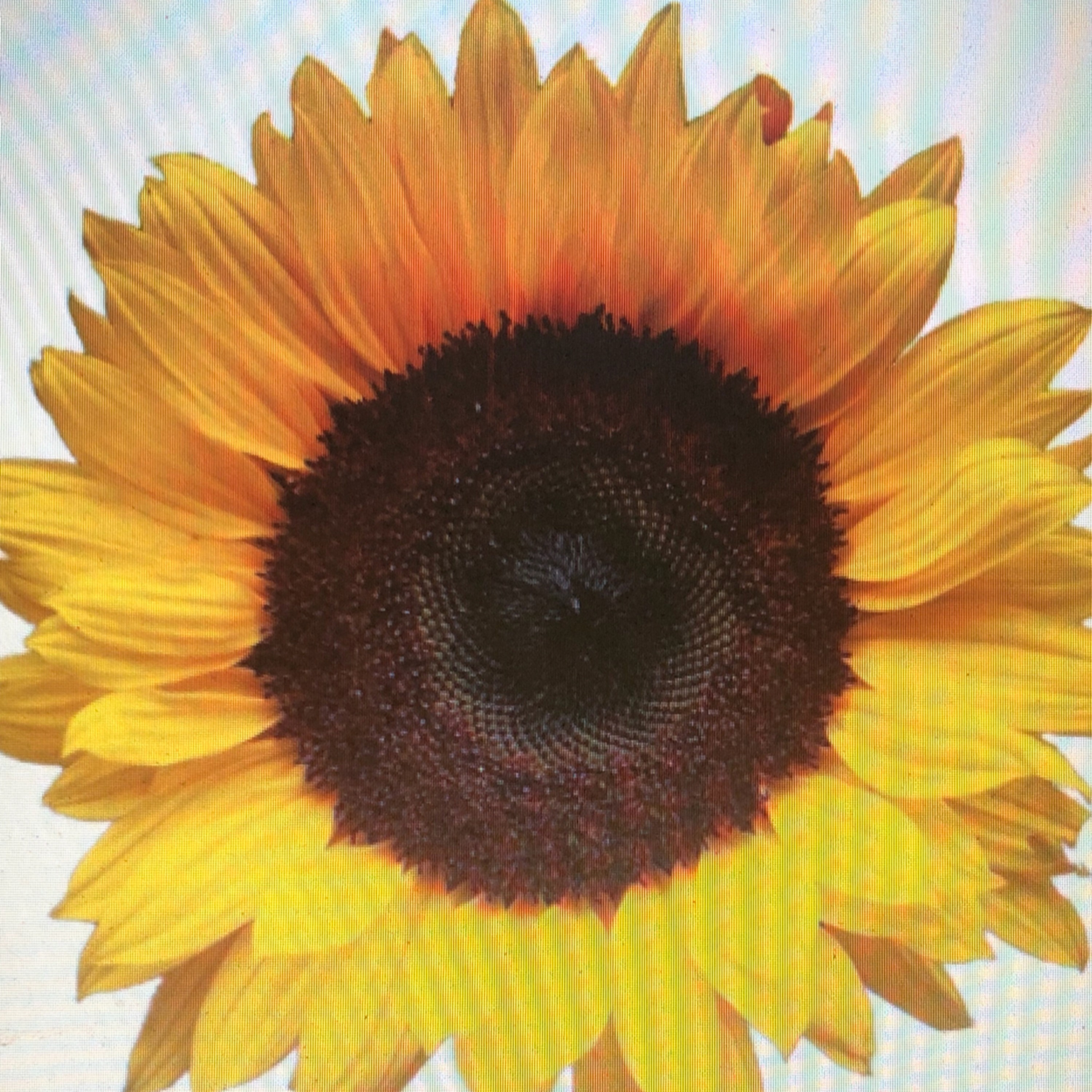 Mary Beth LoVecchio's talk 6/24/18 episode artwork