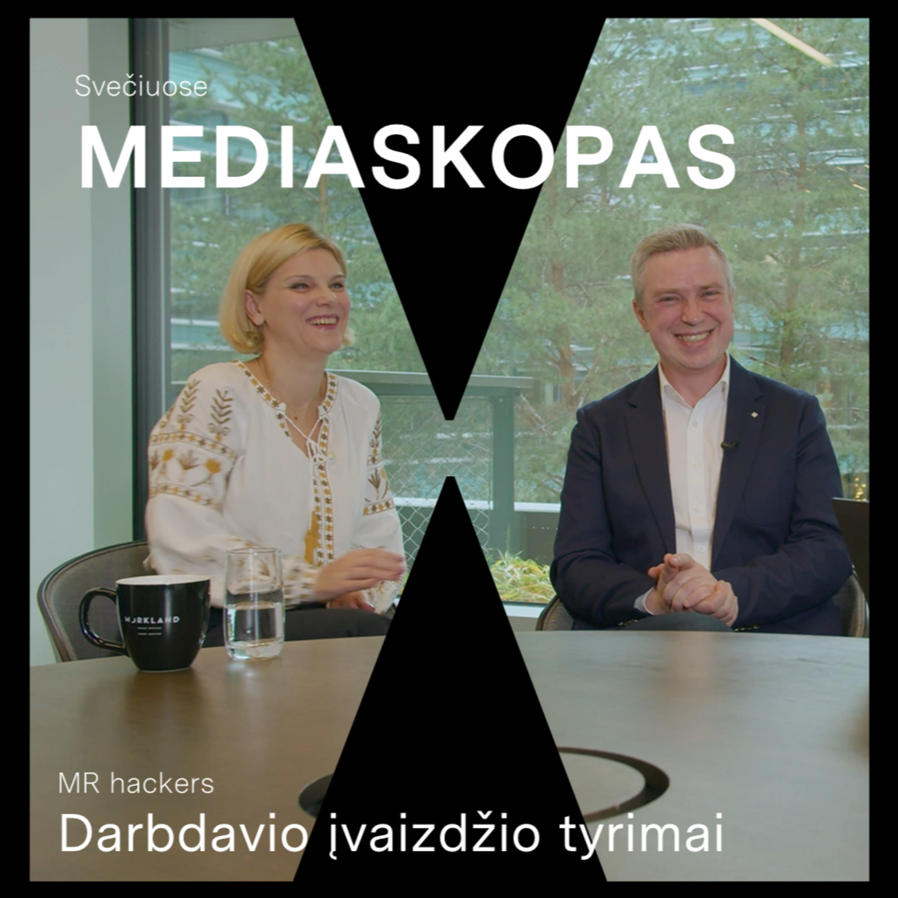 #17: Darbdavio įvaizdžio tyrimai episode artwork