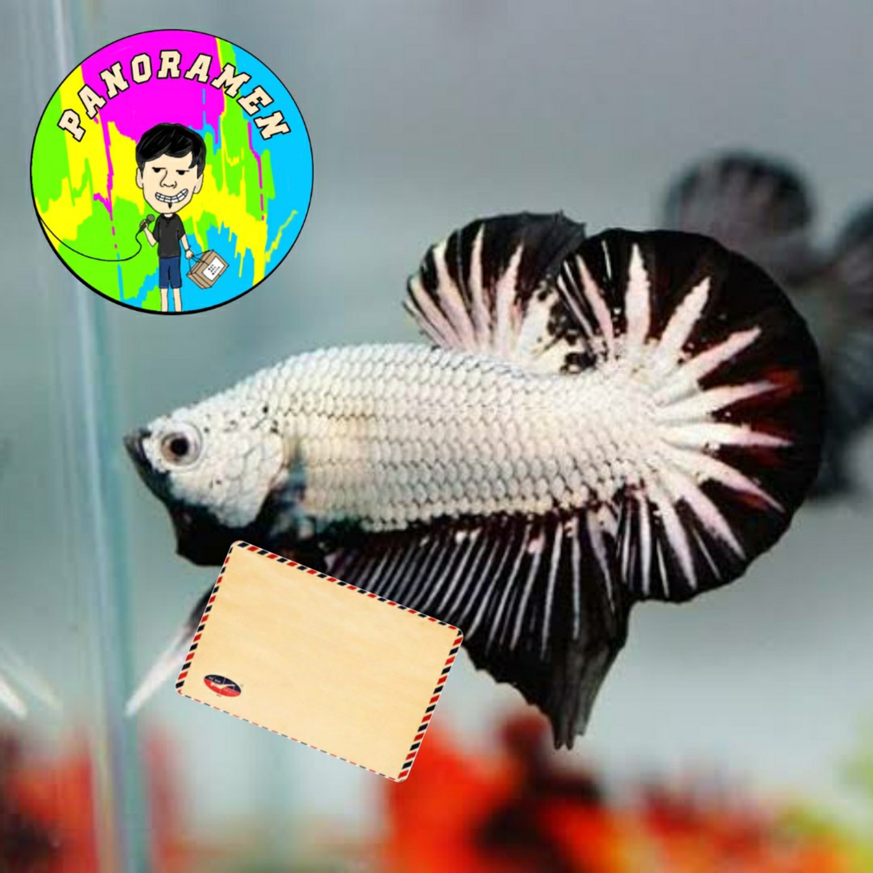 Panoramen