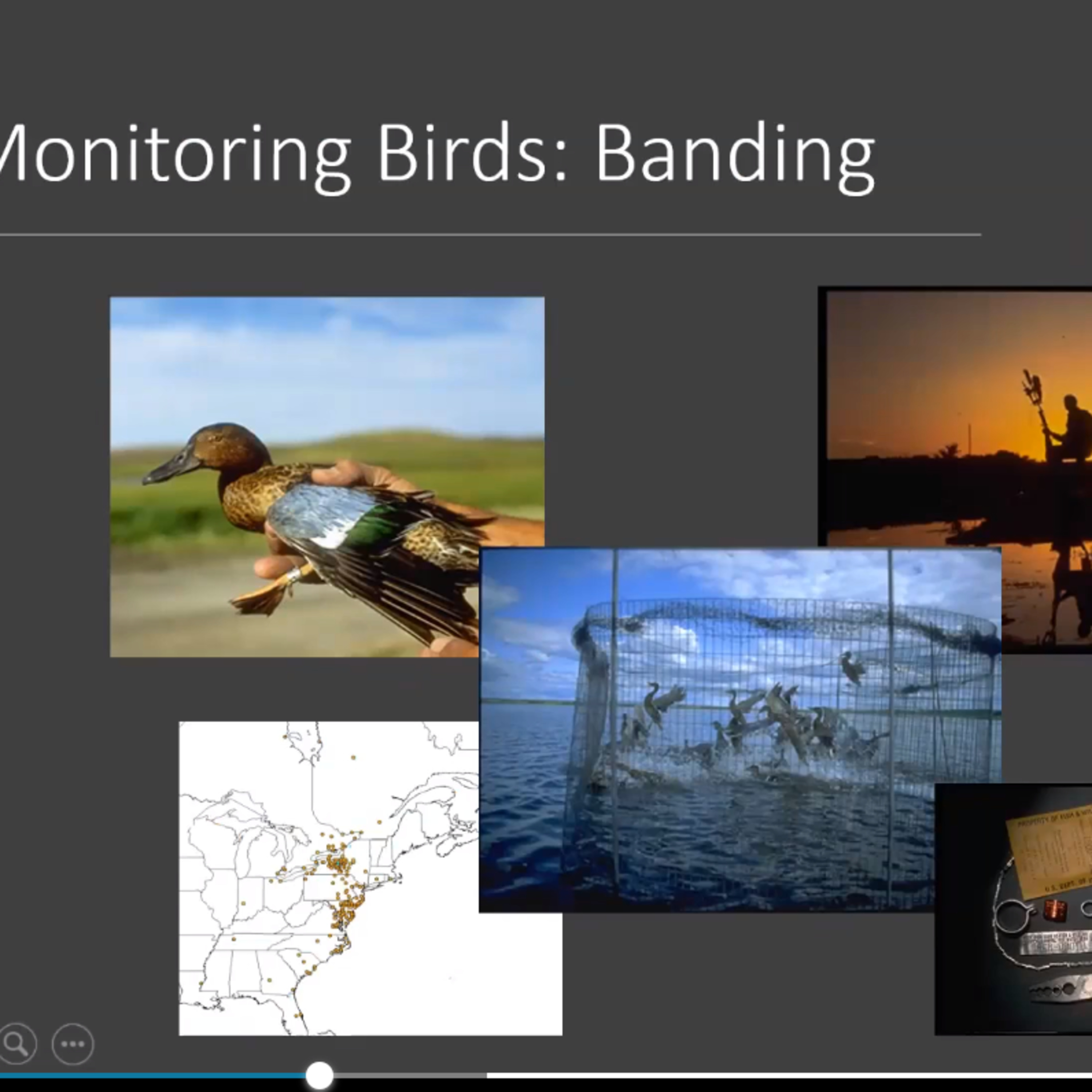 Waterfowl, Wetlands and Watercolors: U.S. Fish and Wildlife Service Conservation of Ducks, Geese, and Swans - Mr. Matson at USFWS episode artwork