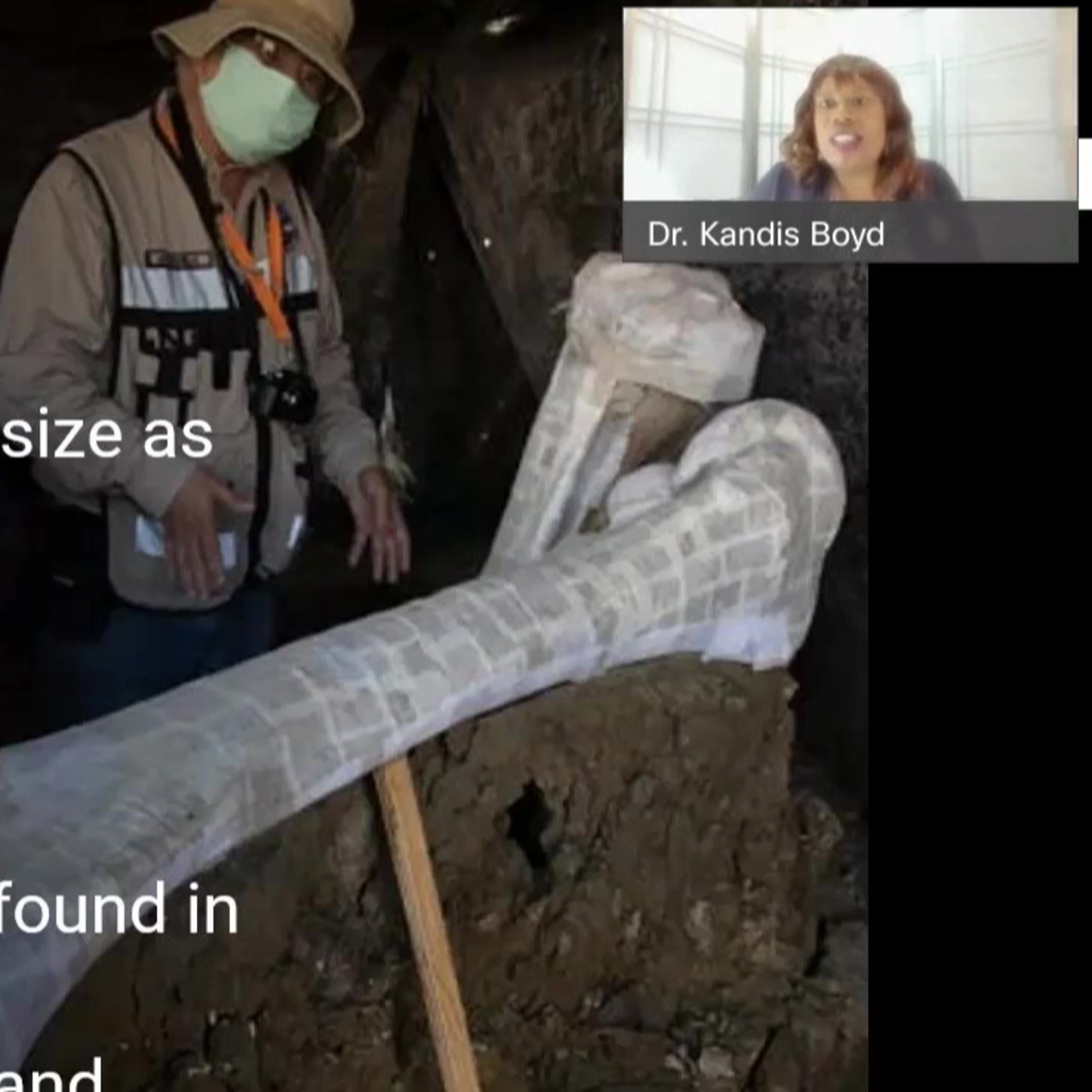 5 secrets about Mammoths - Dr. Boyd at NSF episode artwork