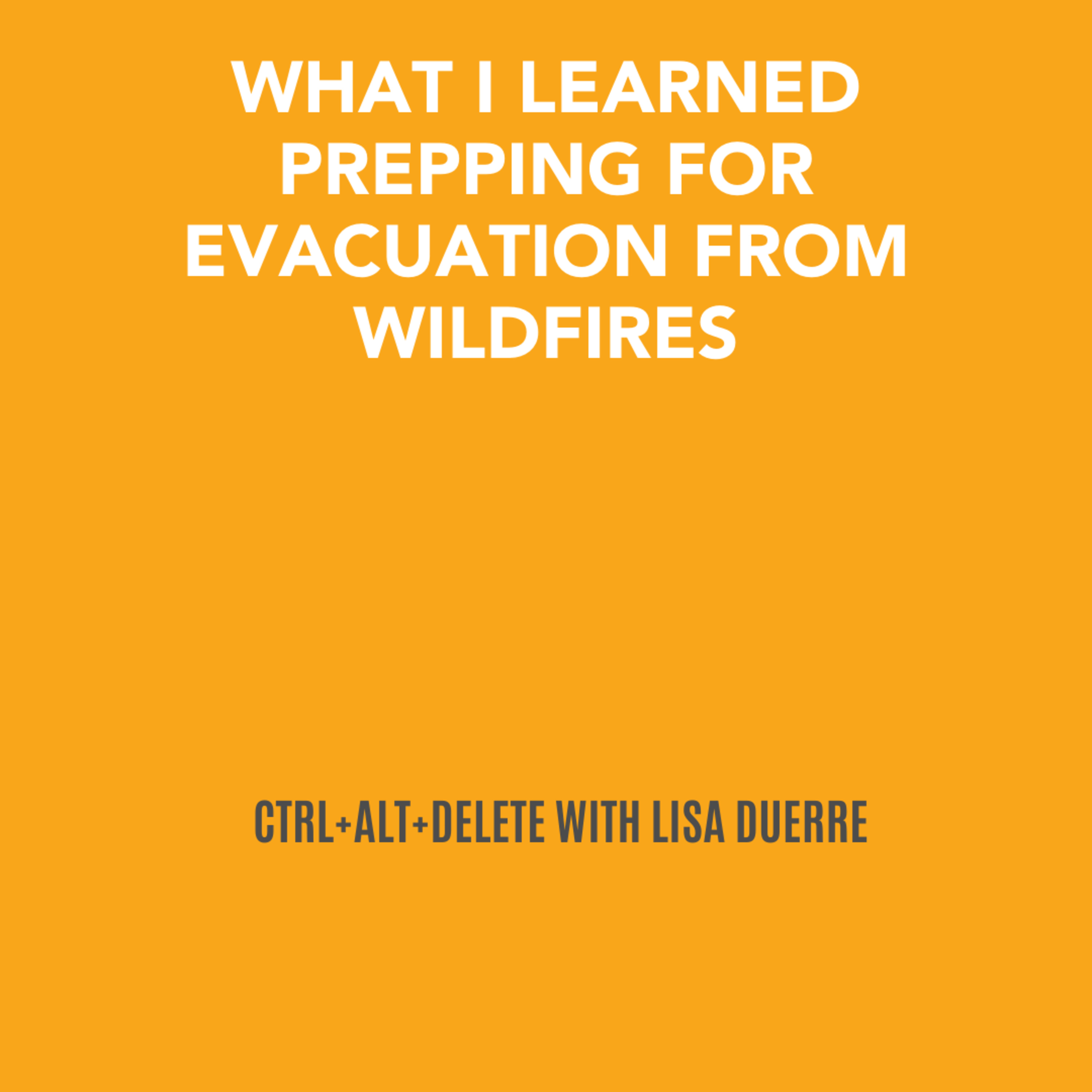 CTRL+ALT+DELETE with Lisa Duerre™