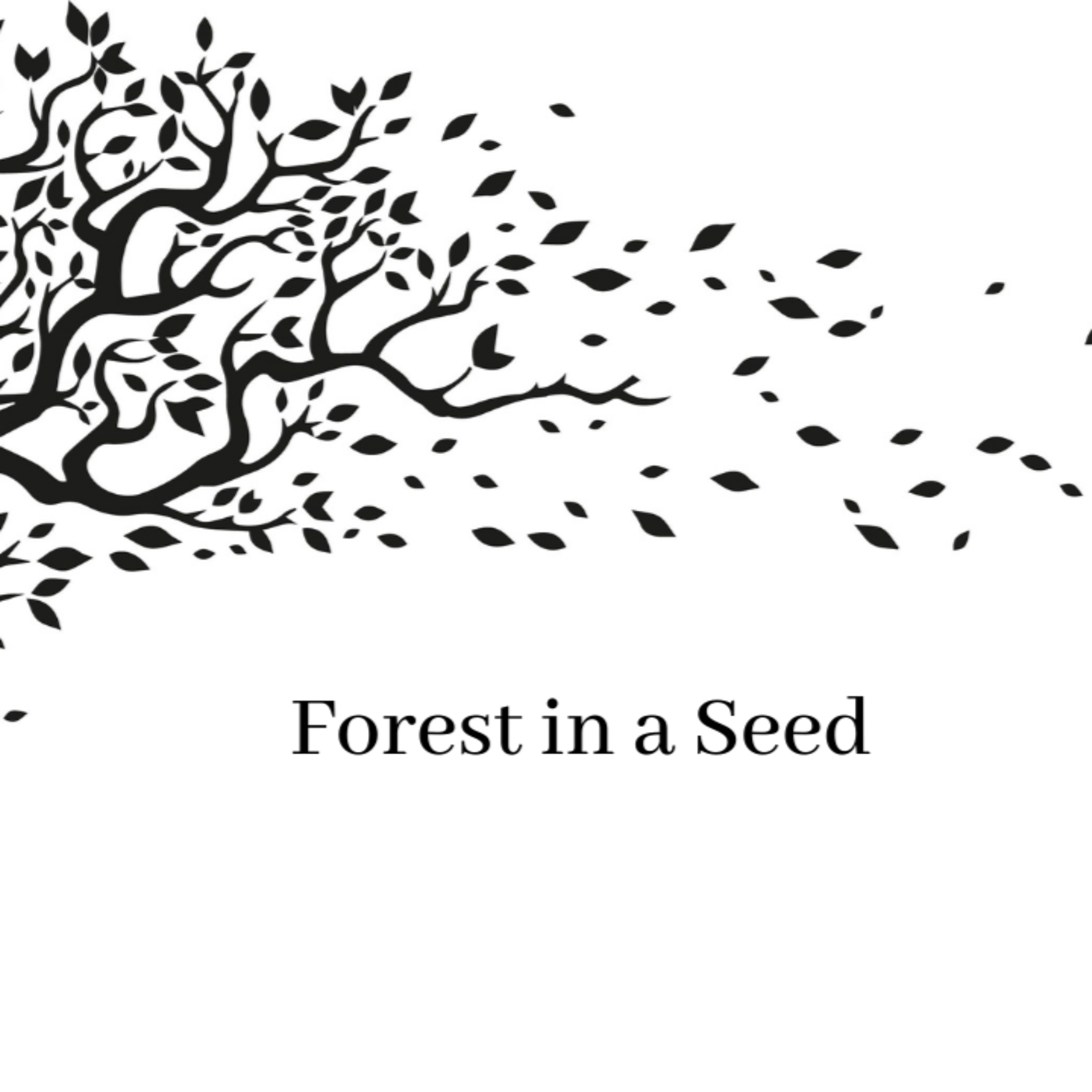 Forest in a Seed episode artwork