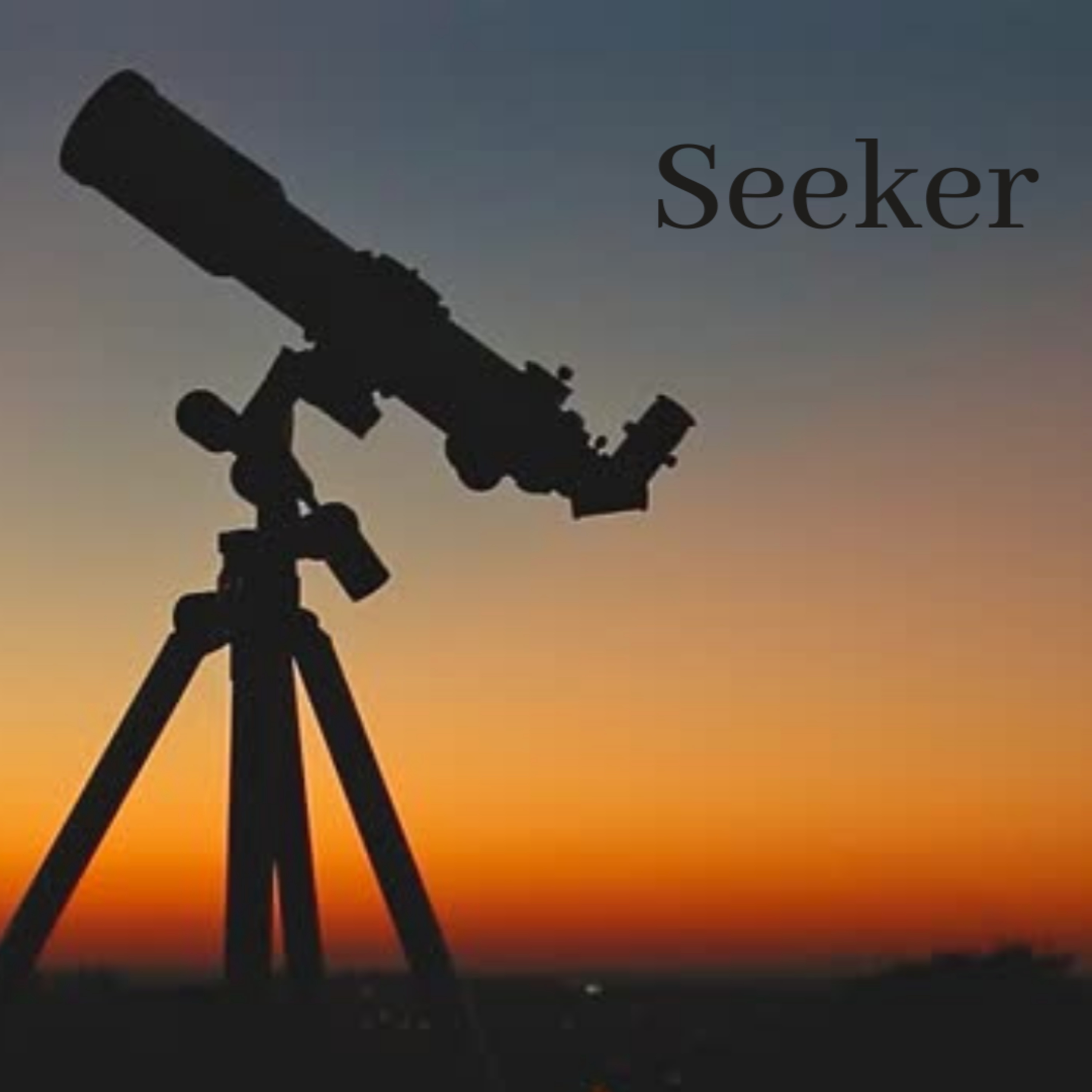 Seeker episode artwork