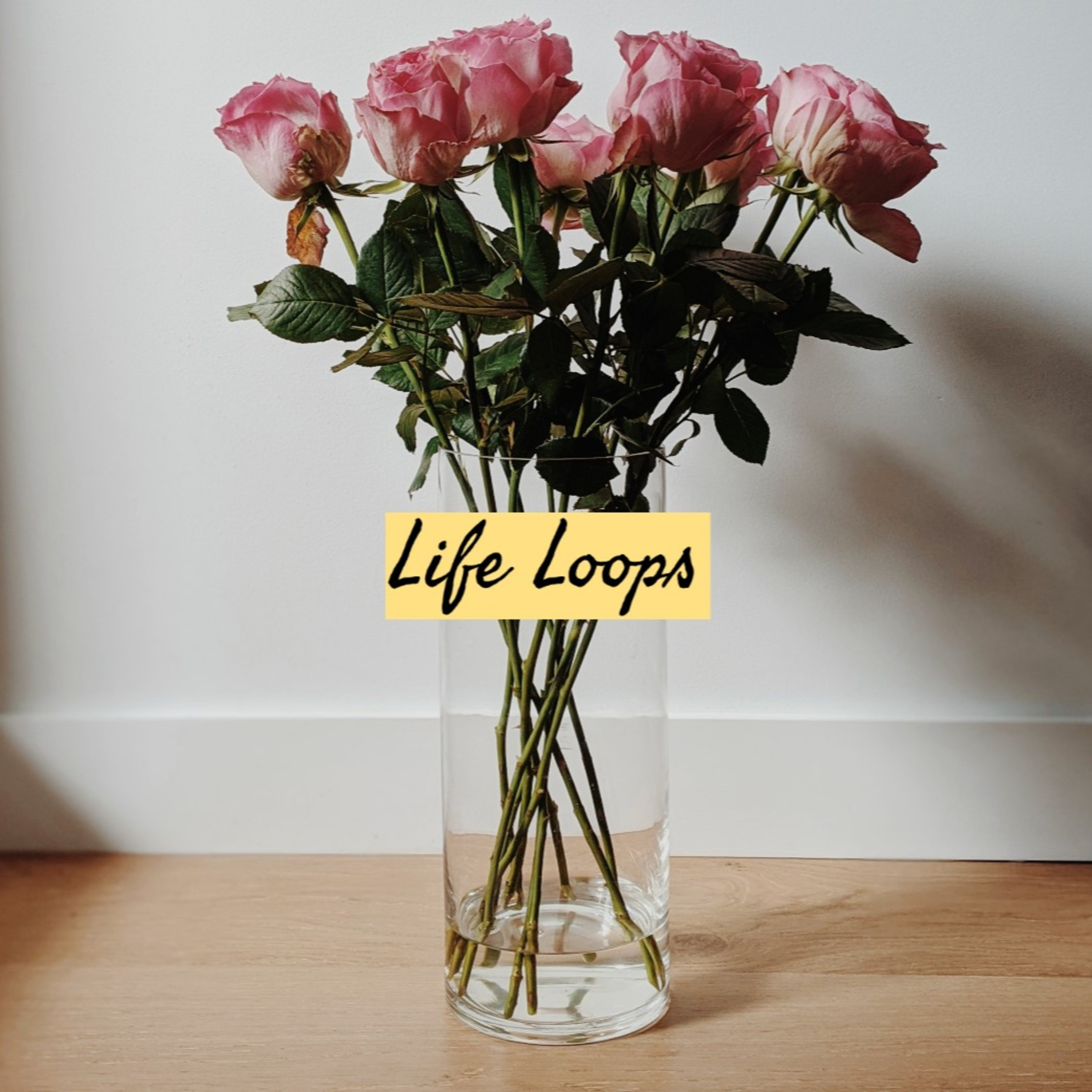 Joy of living the best life episode artwork