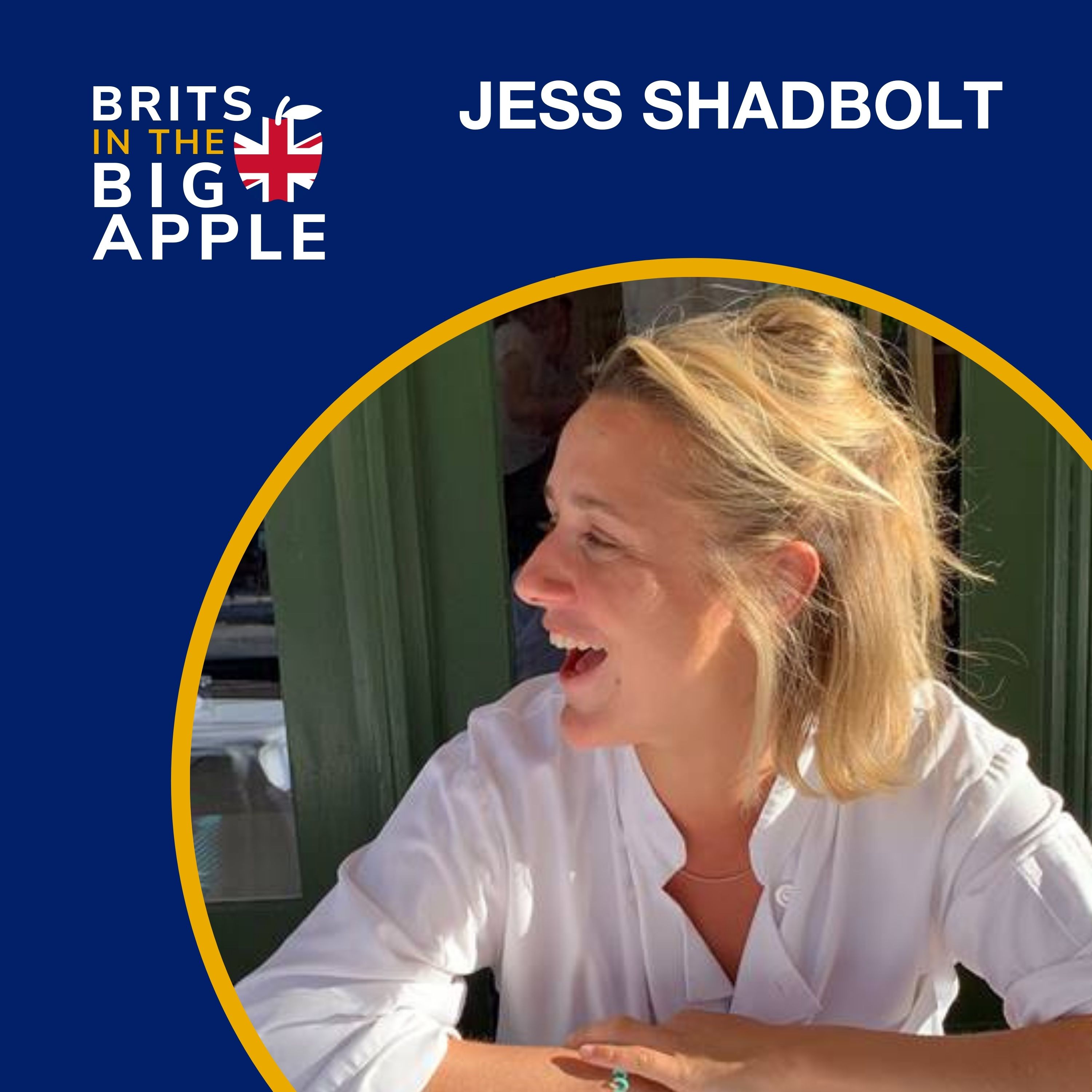 Brits in the Big Apple