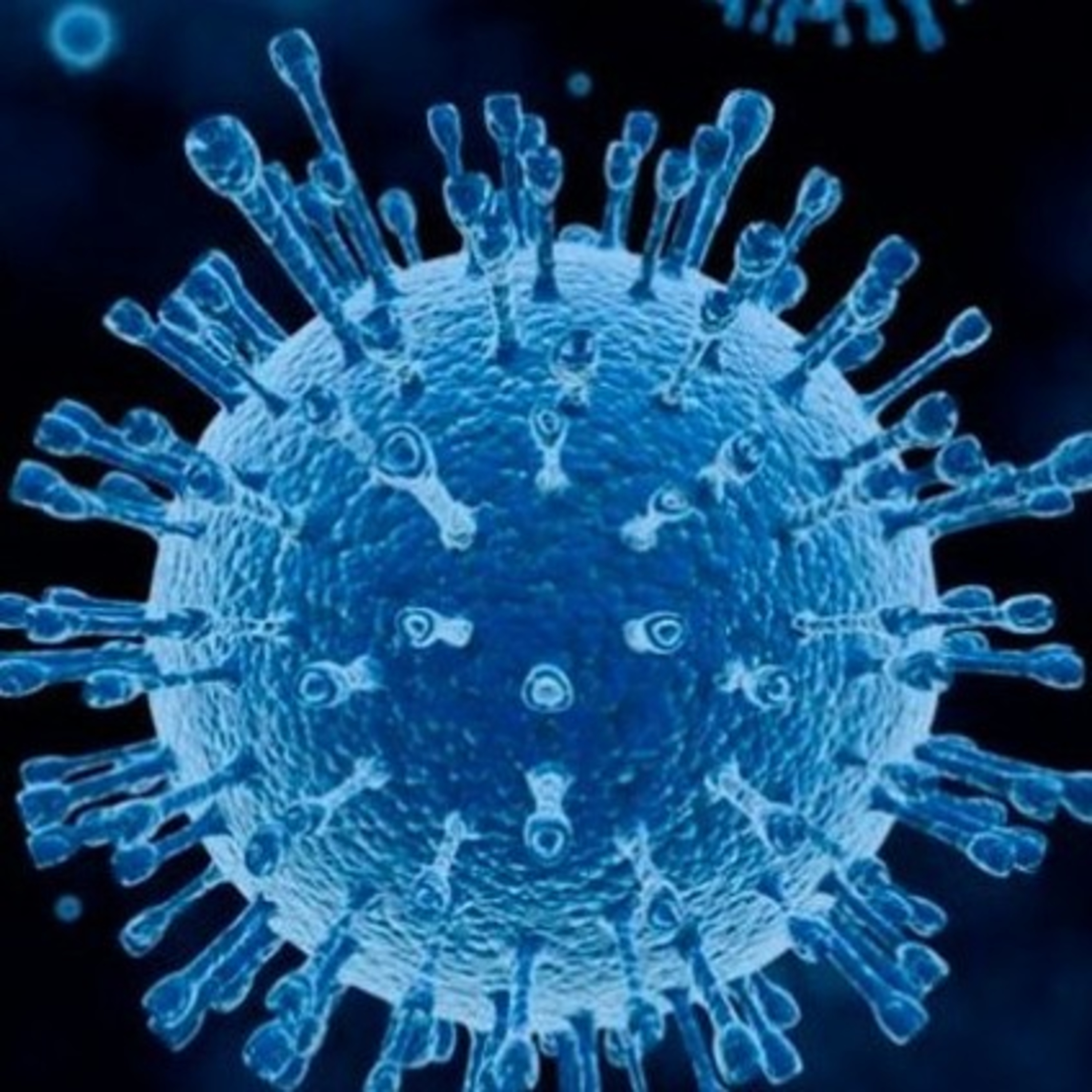 Gênero textual : Notícia/Texto informativo
Francisca, 2. Termo EM