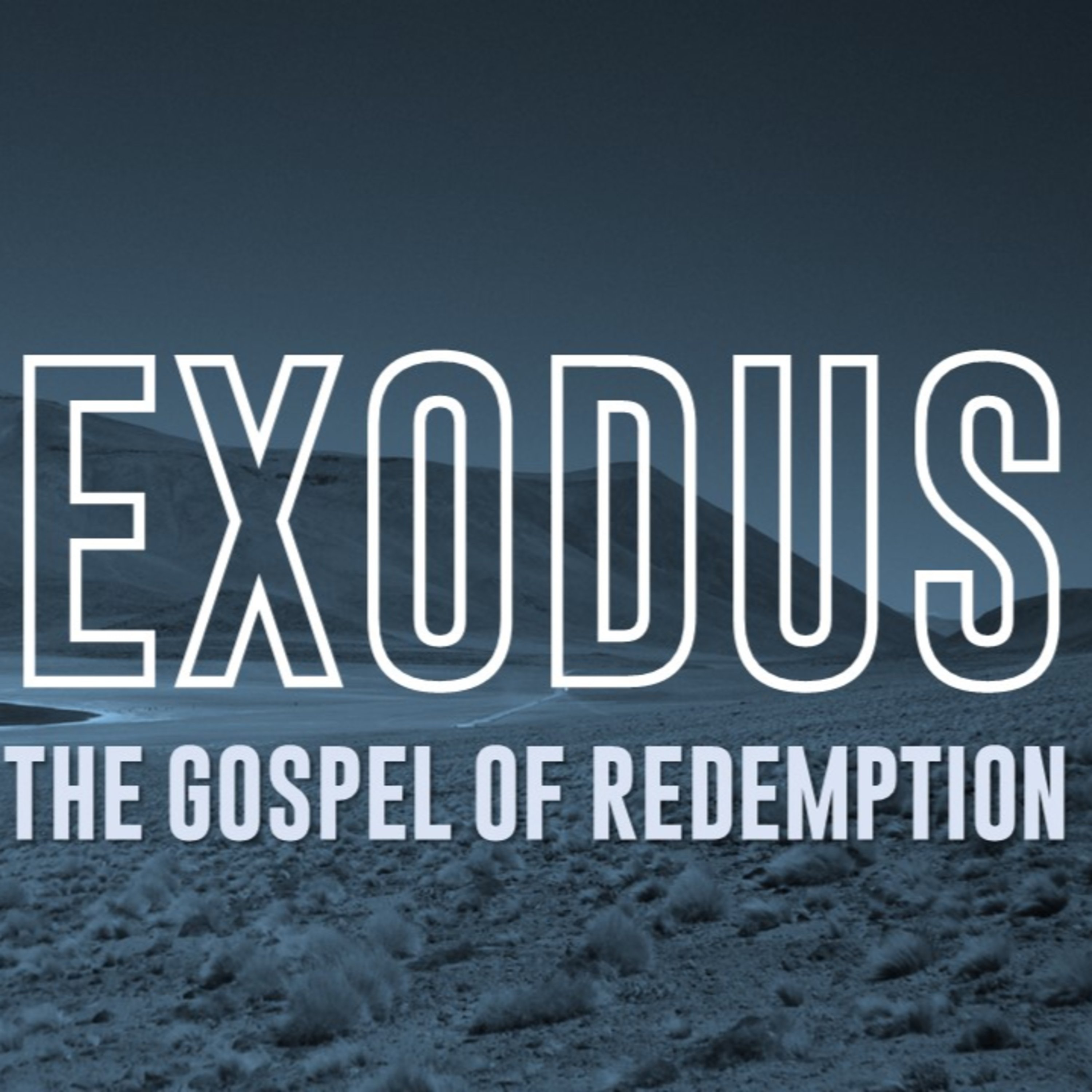 God Provides - Exodus 16:1-36 & Exodus 17:1-7 episode artwork