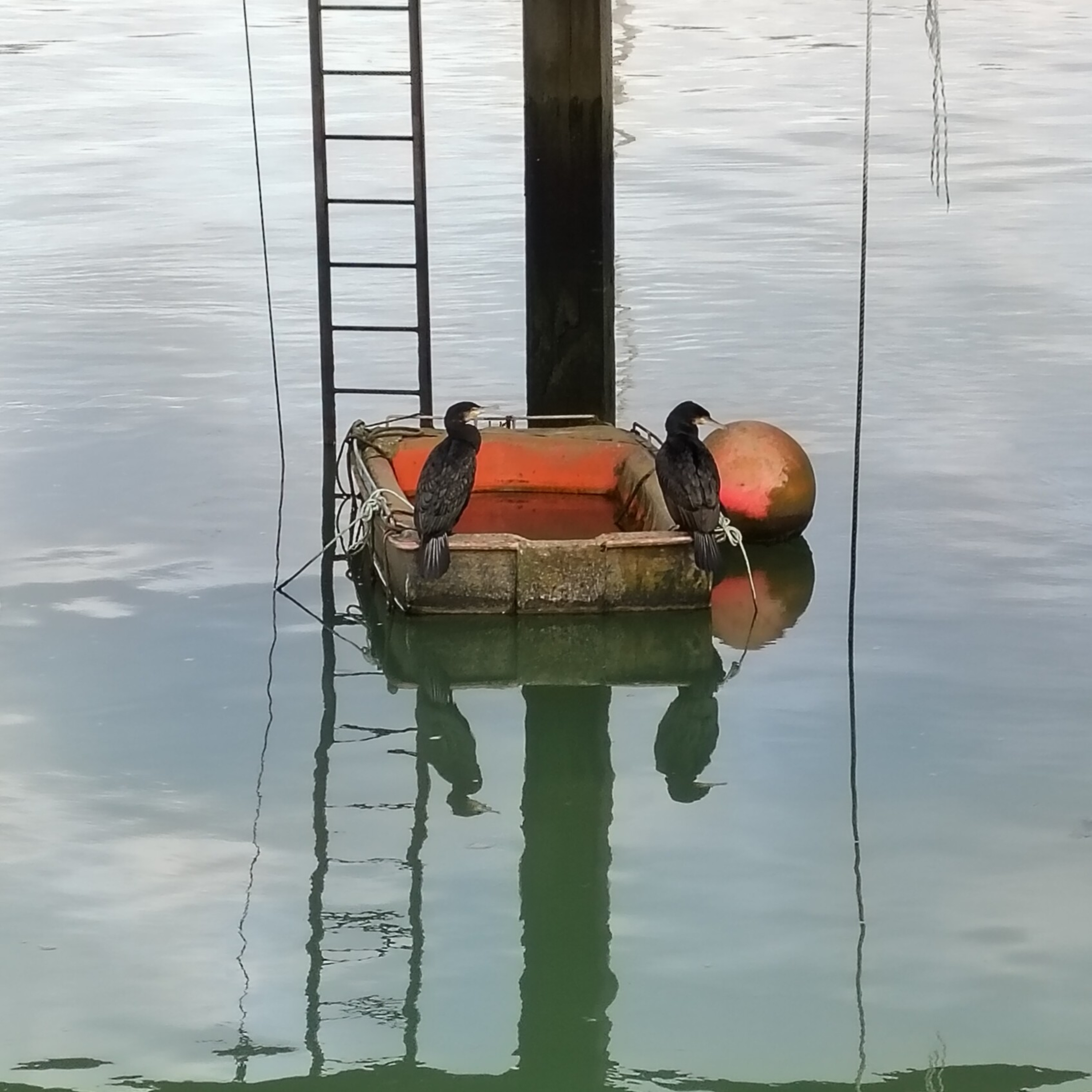hikenpod