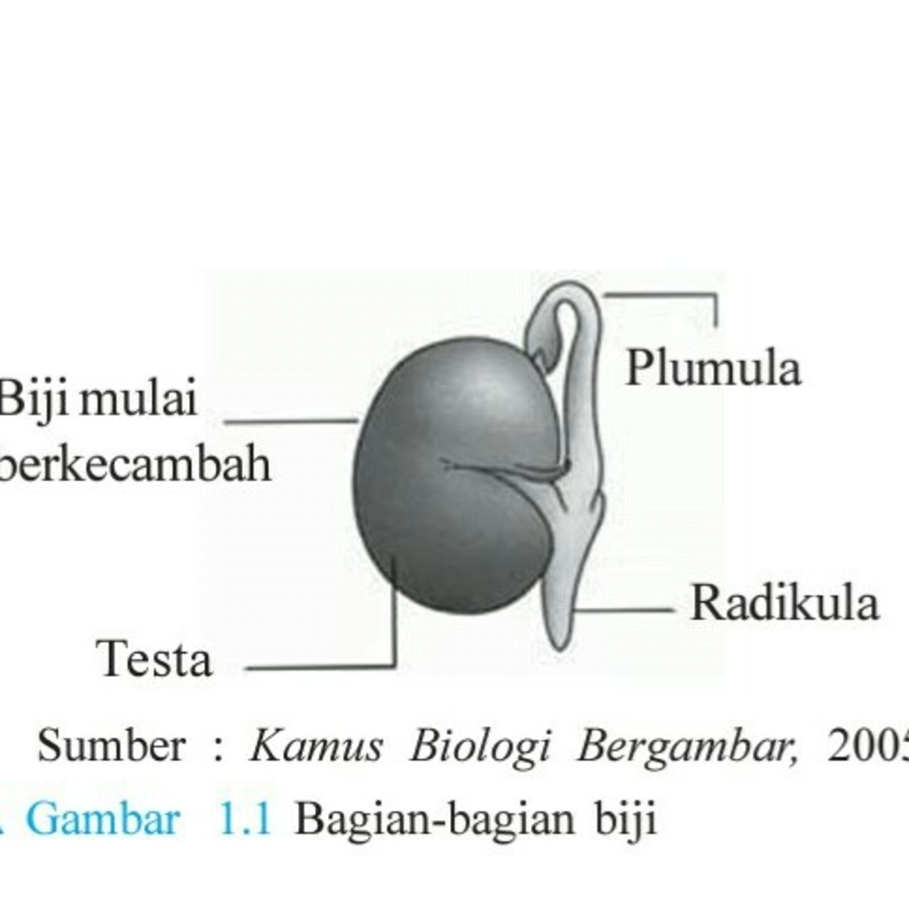 Niulogi
