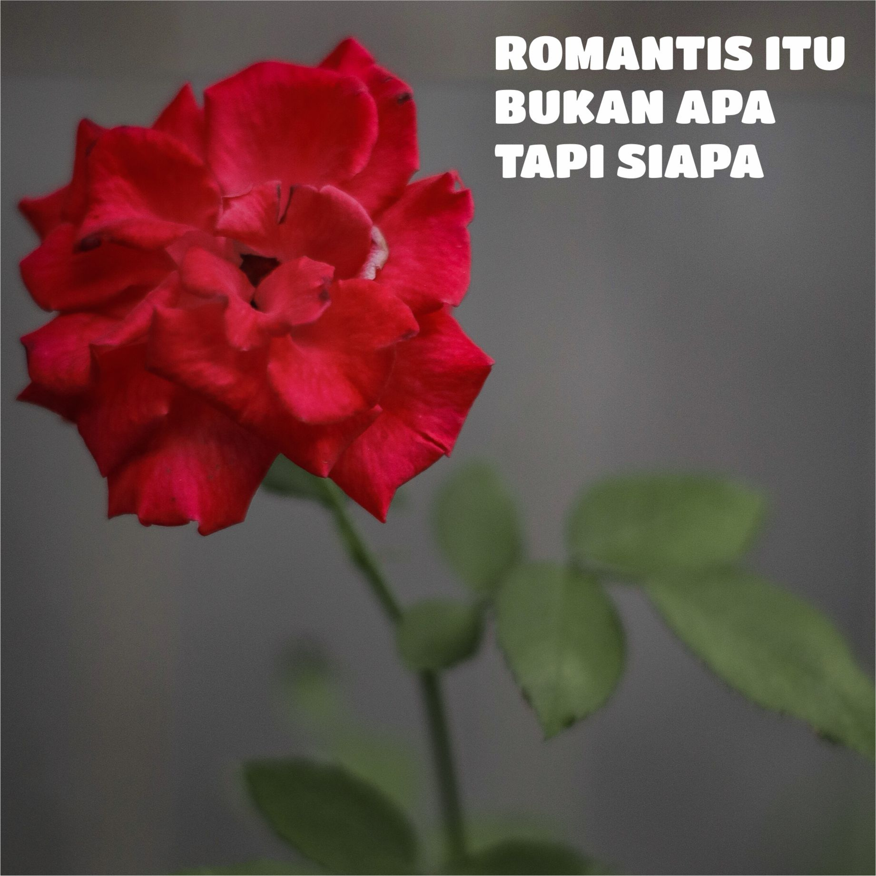 Resonansi Jiwa