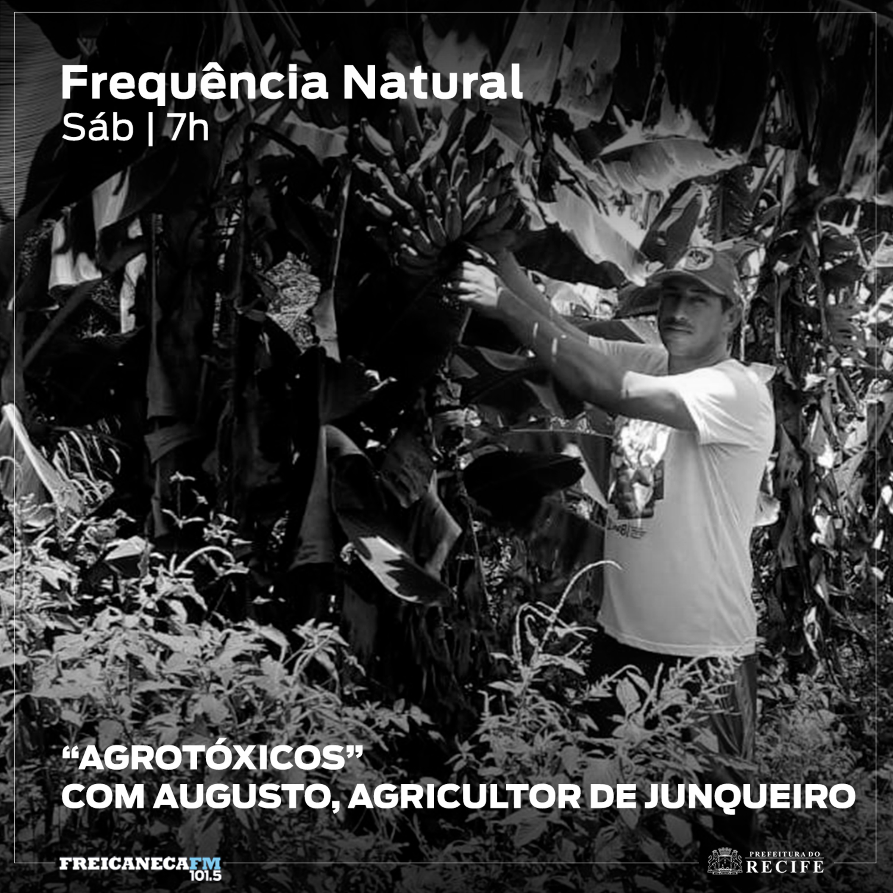 Frequência Natural