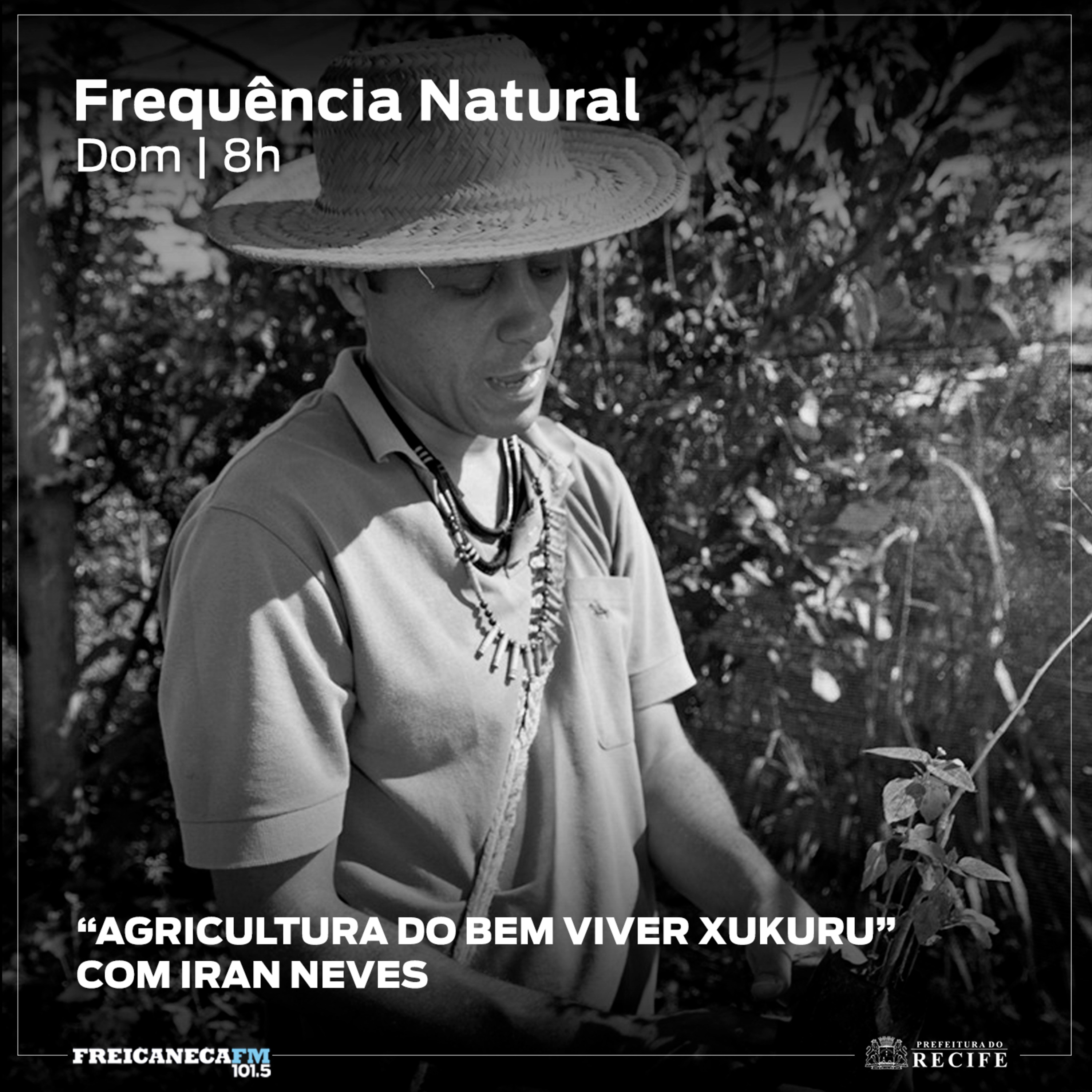 Frequência Natural