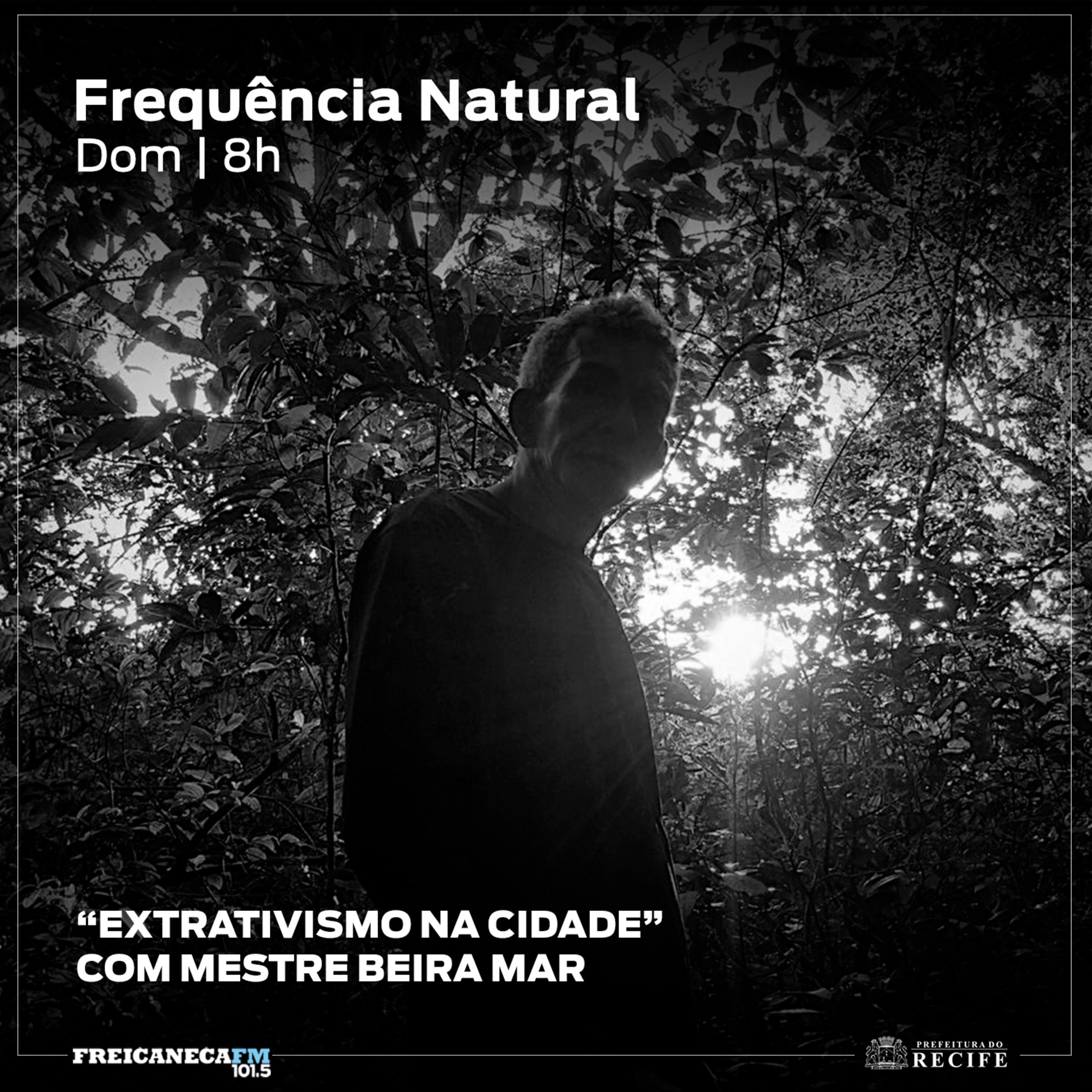 Frequência Natural