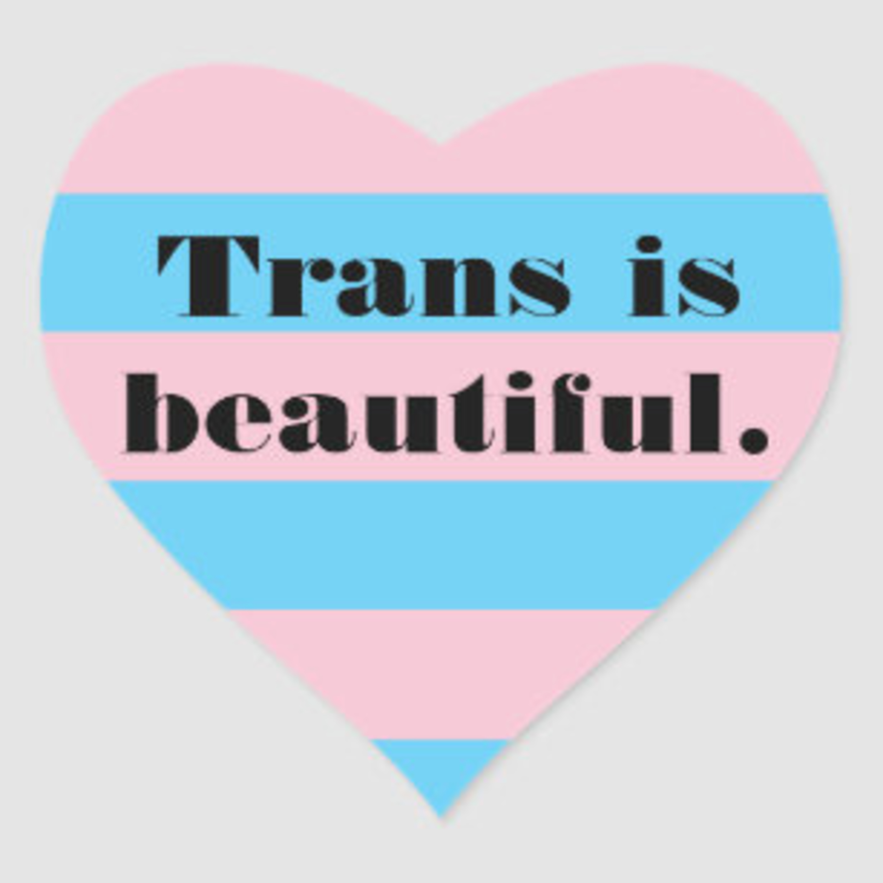 Dia 29 de Janeiro - Dia da Visibilidade Trans