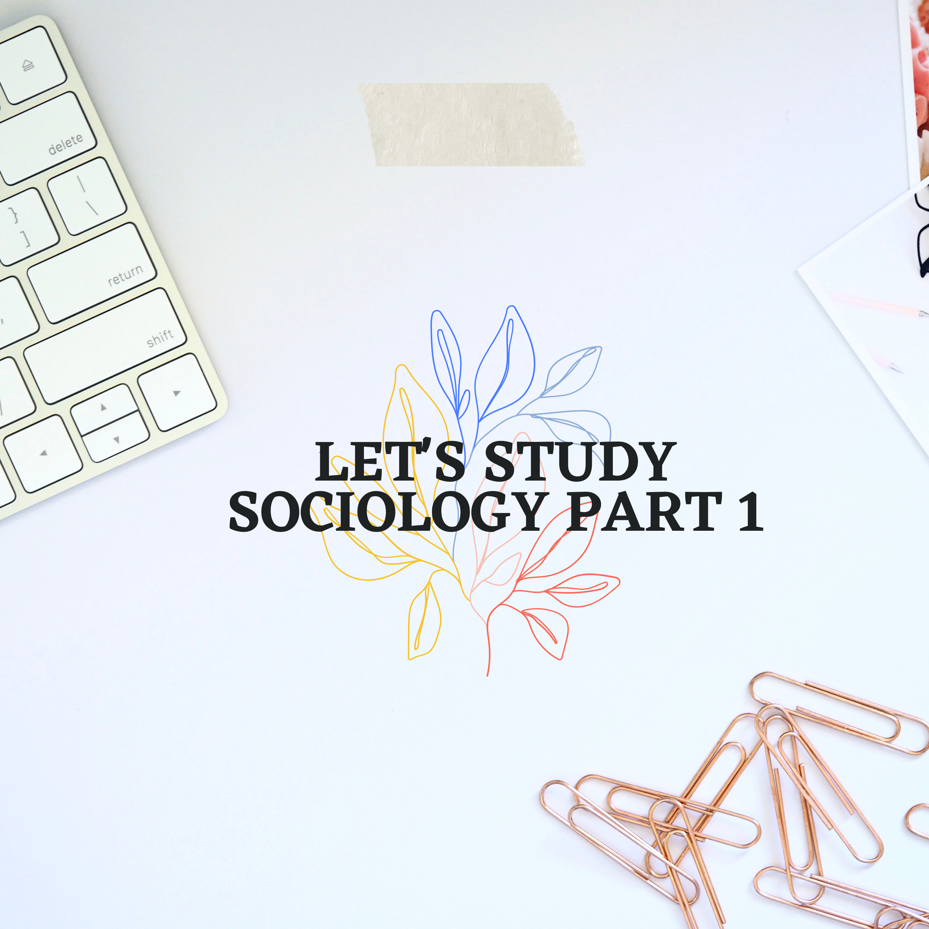 Let's Study Sociology Part 1 episode artwork