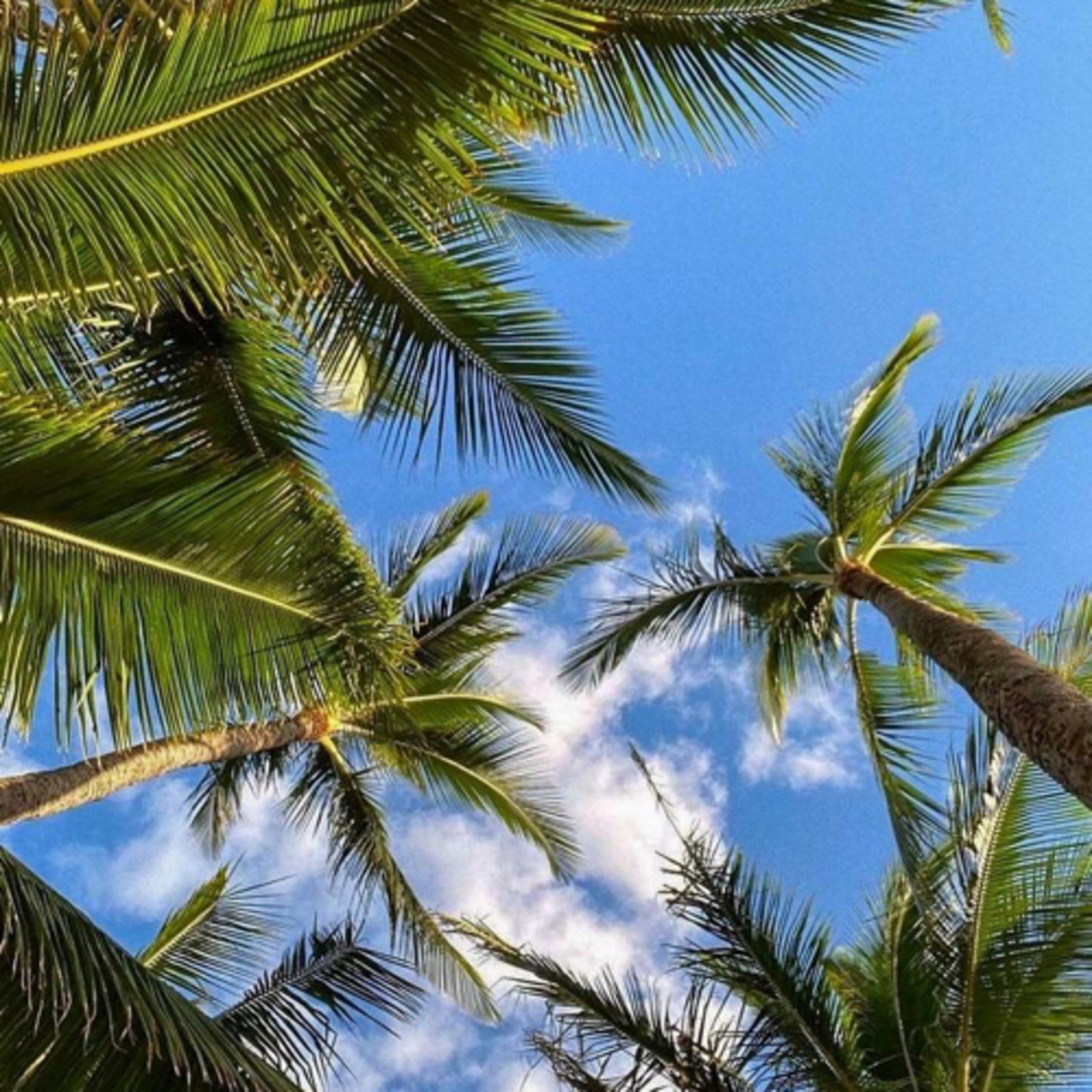 Live Life w/ Vrinze ✨🖤