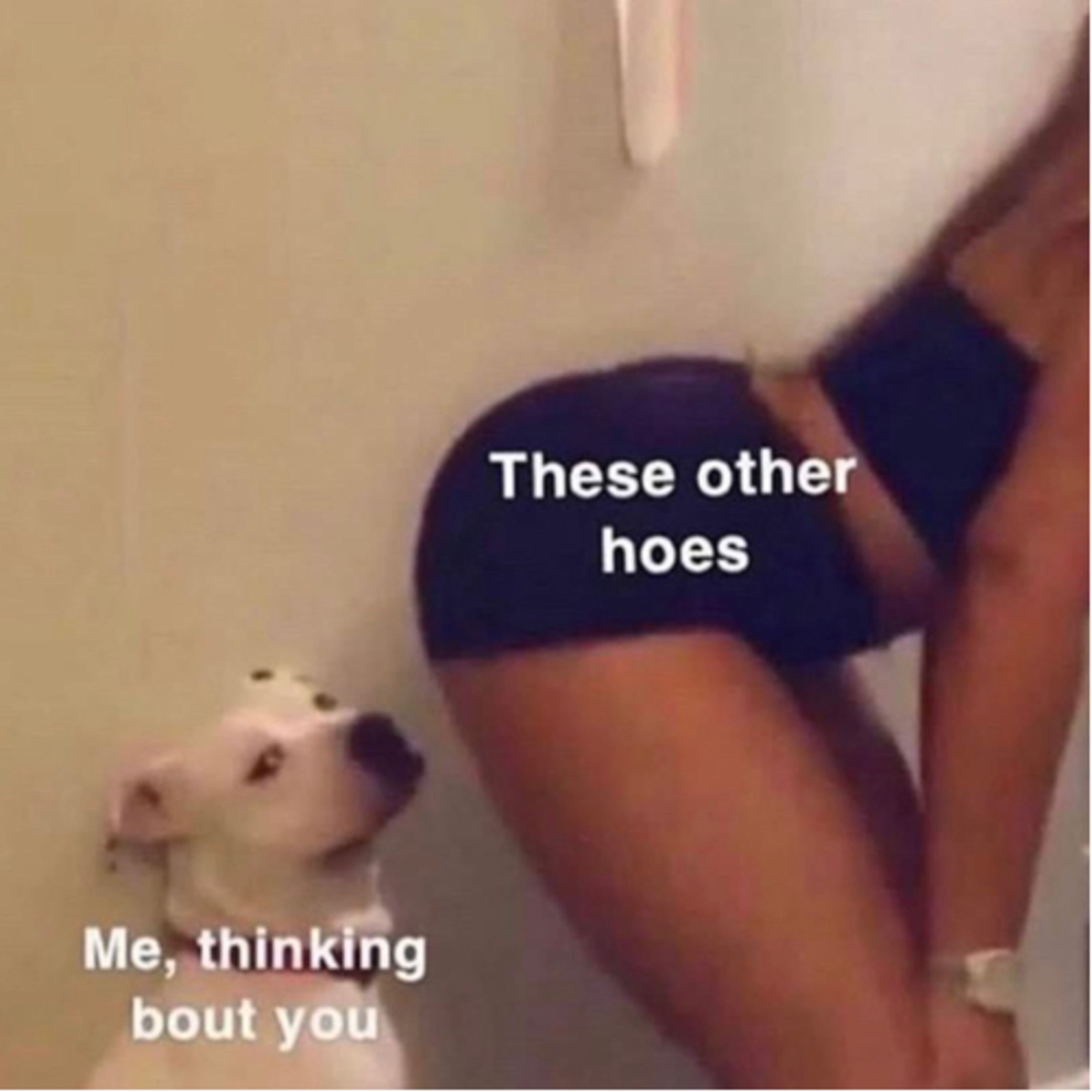 Live Life w/ Vrinze ✨🖤