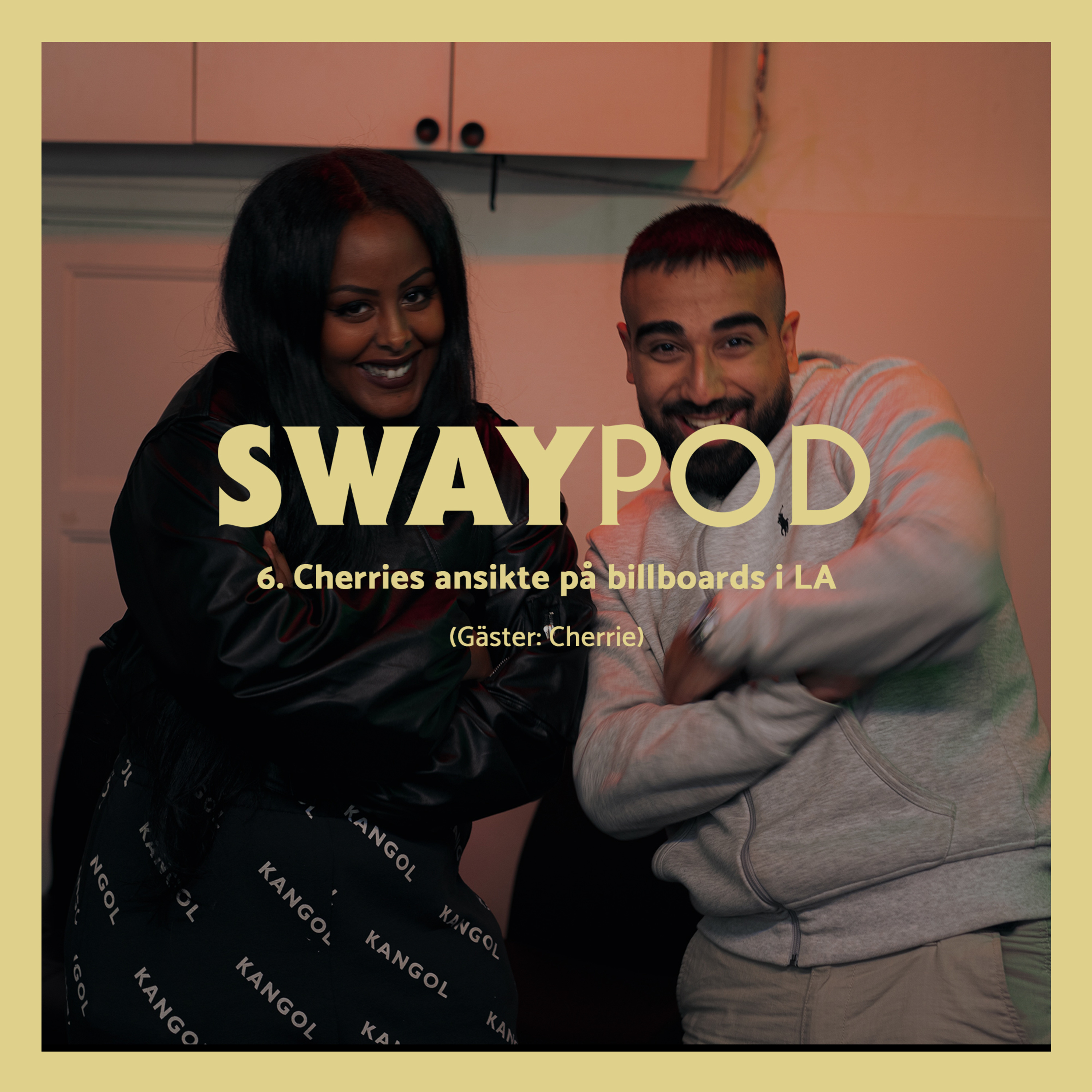 Swaypod