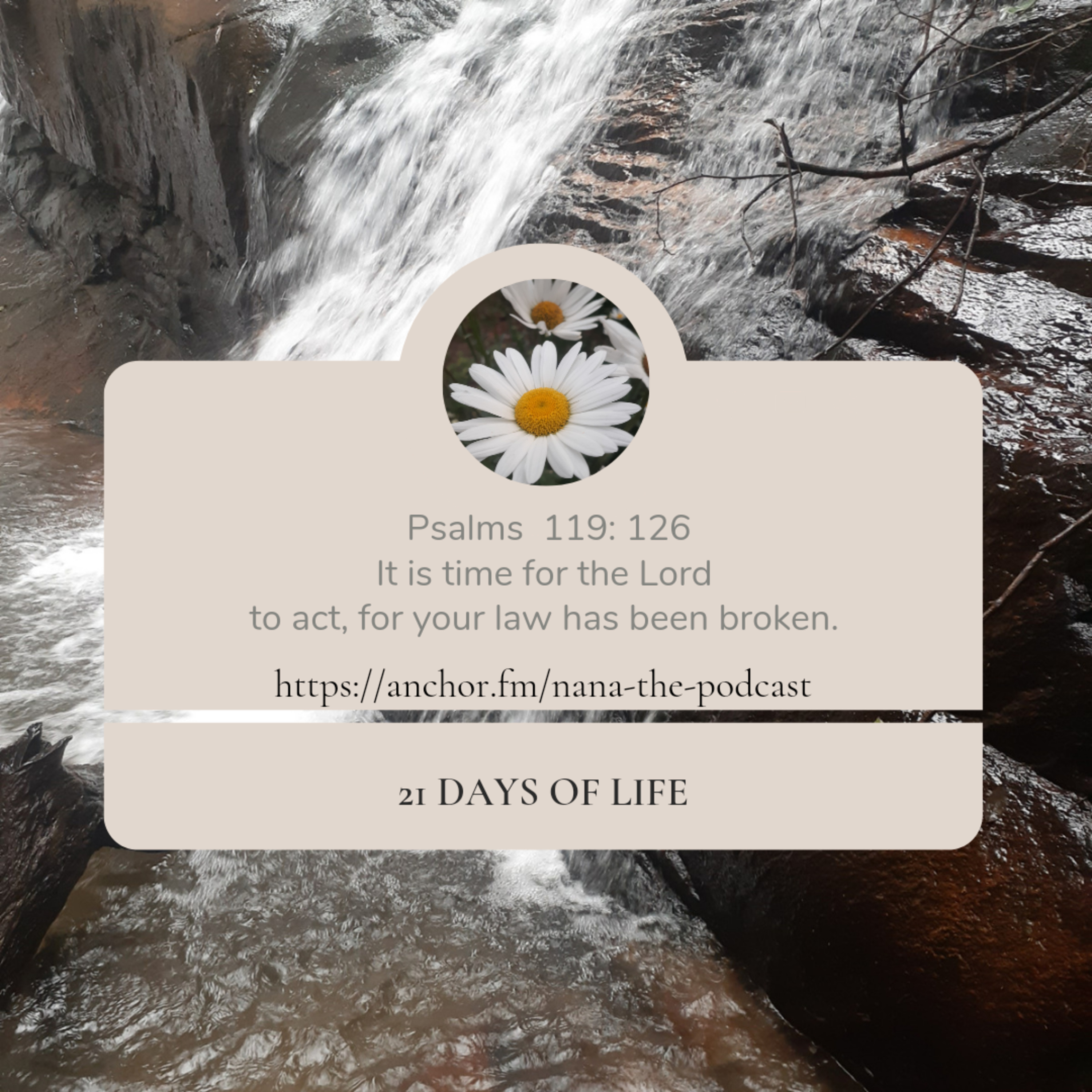 NaNa The Podcast on Jamit