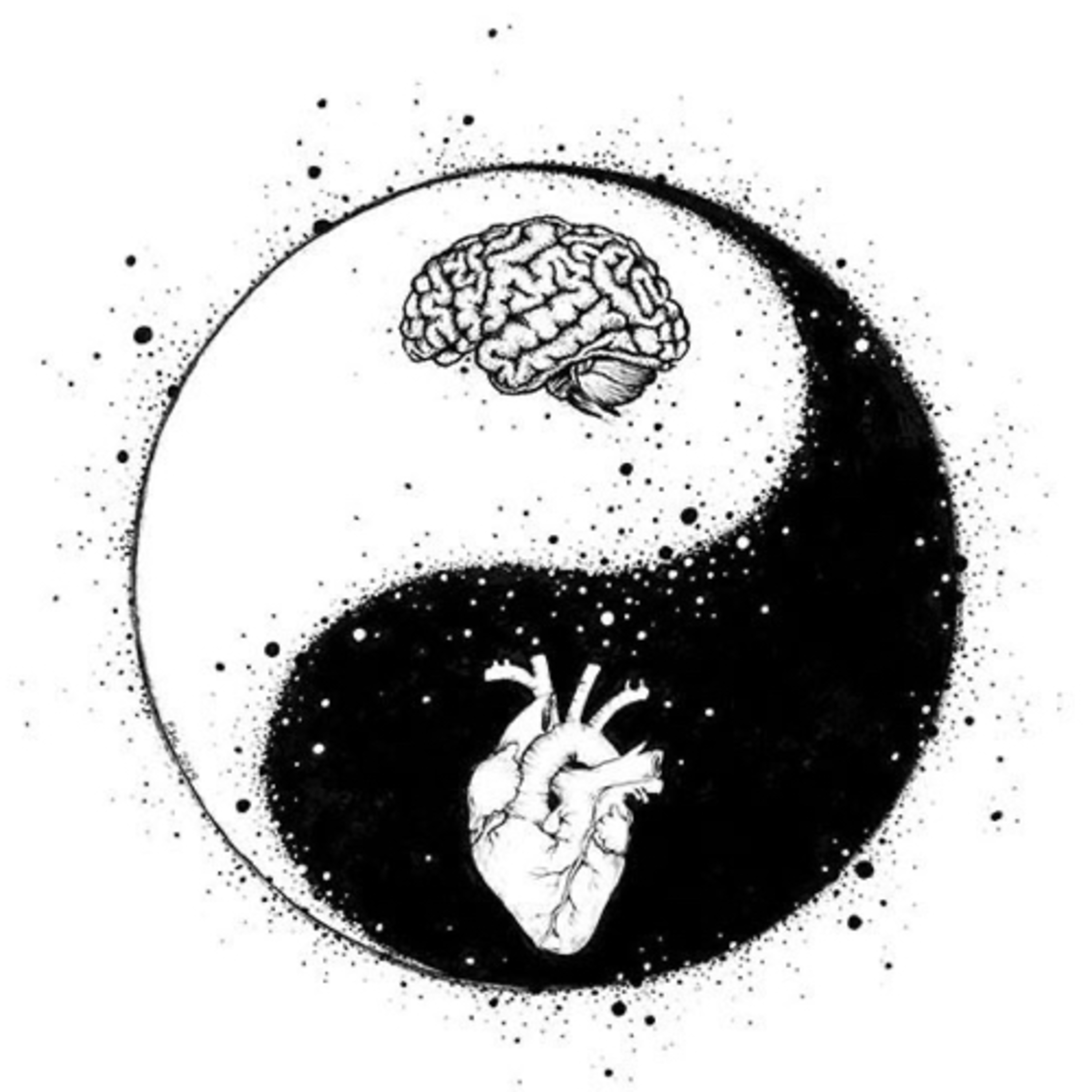 YIN•YANG episode artwork