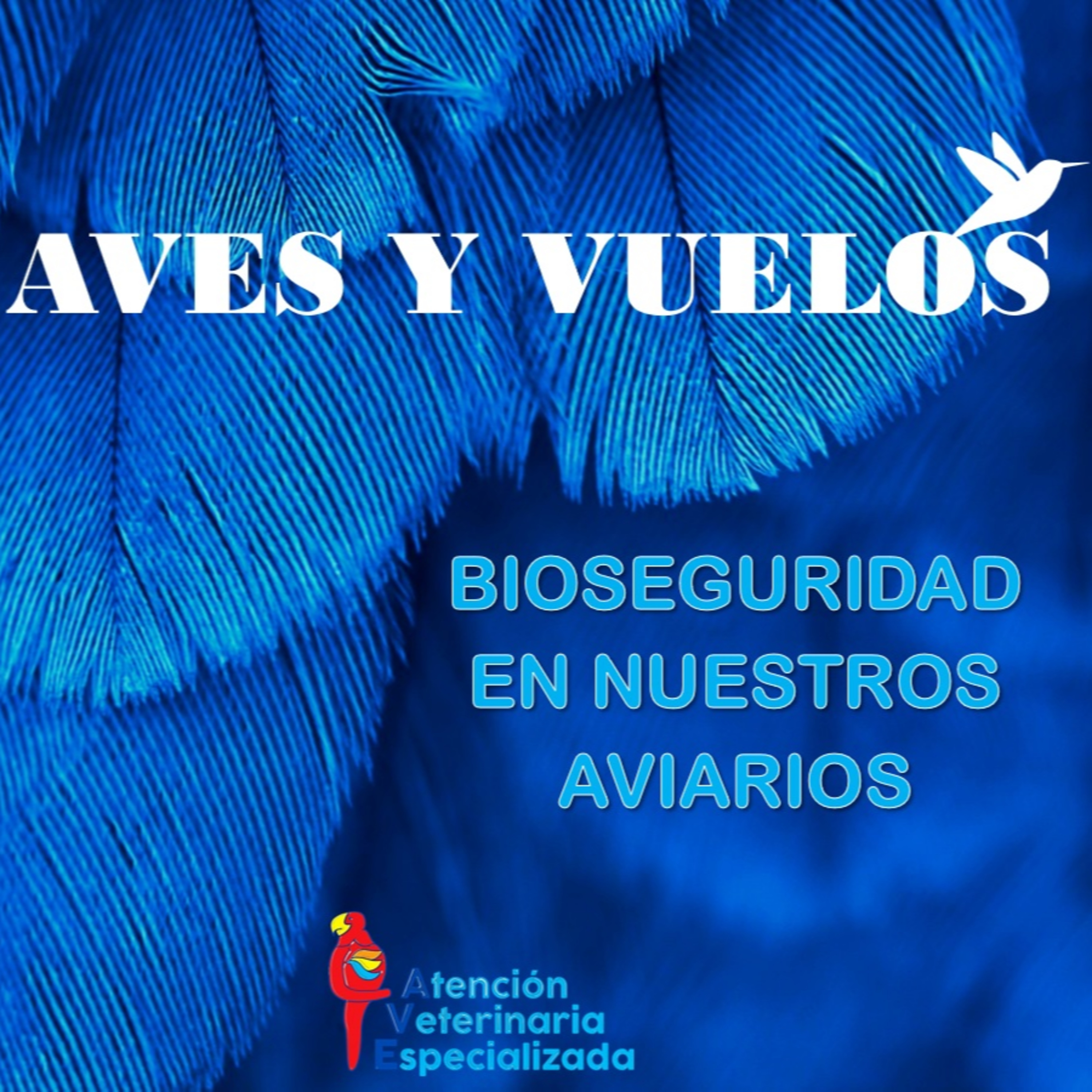 AVES Y VUELOS