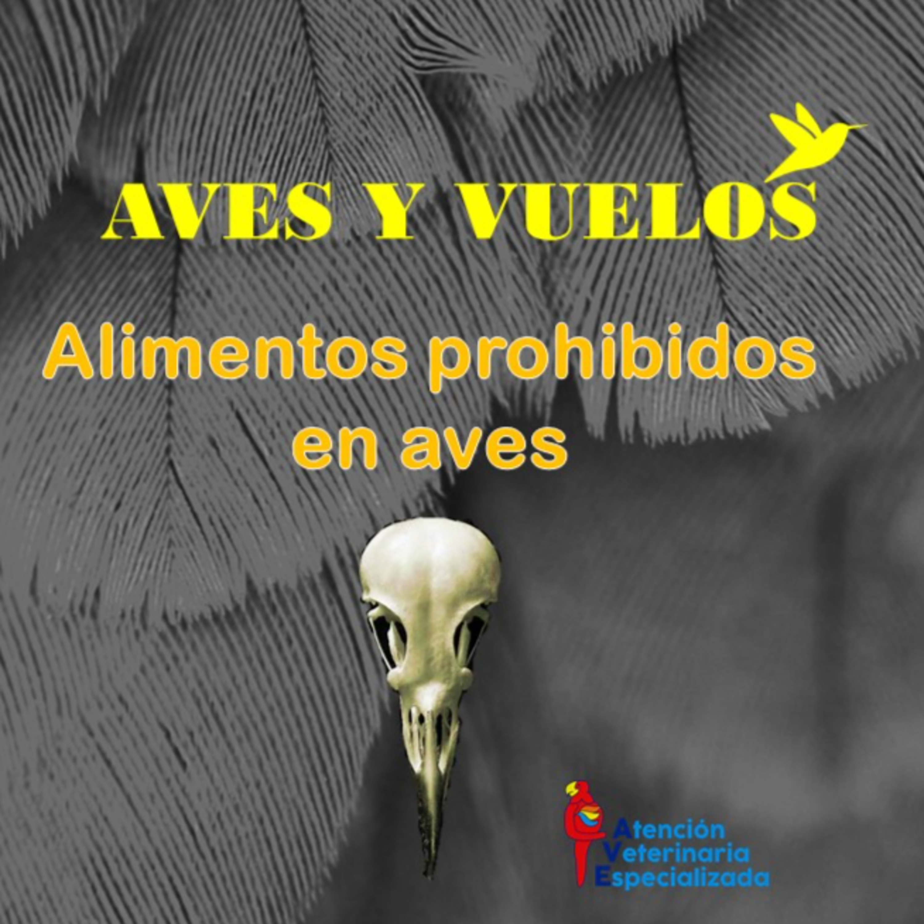 AVES Y VUELOS