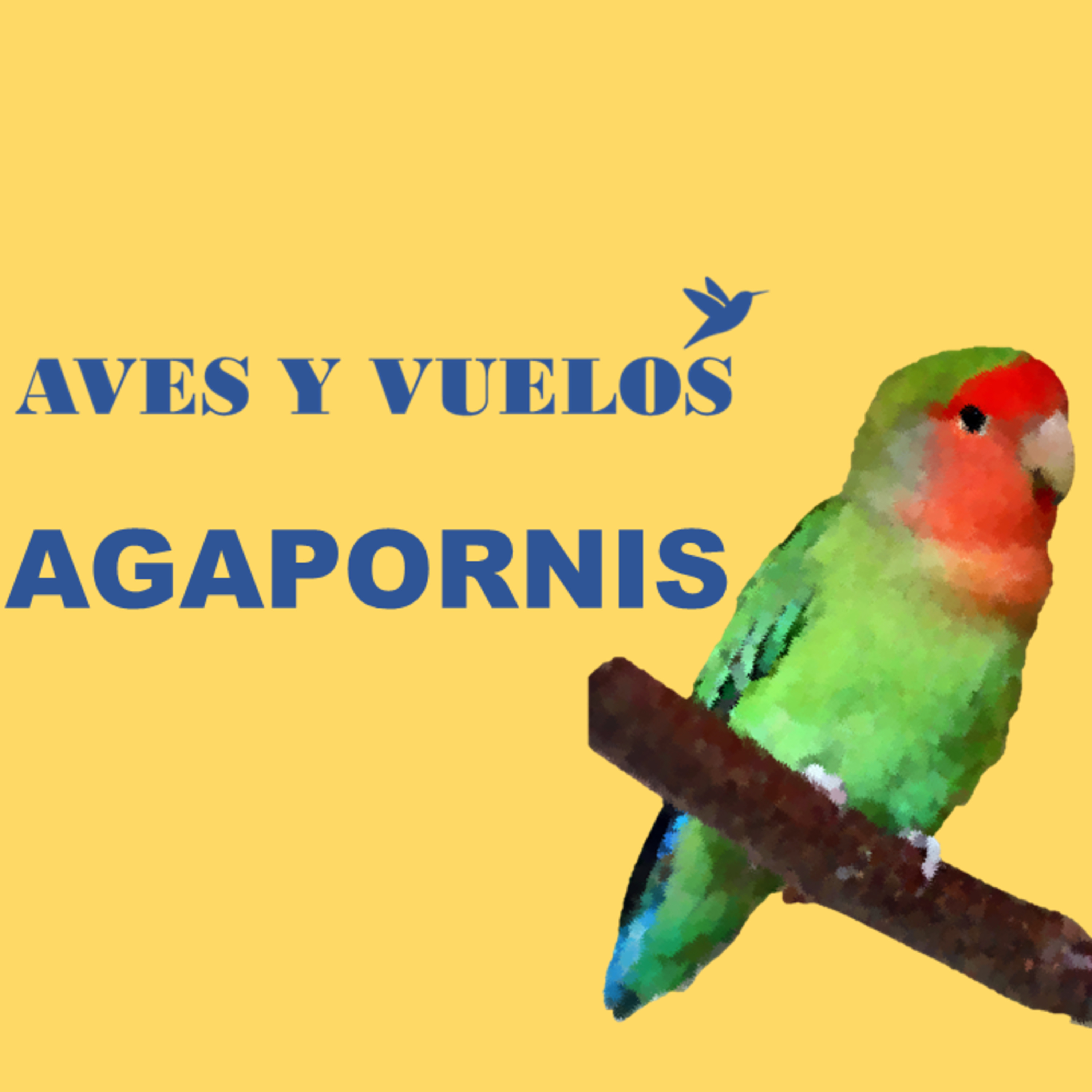 AVES Y VUELOS