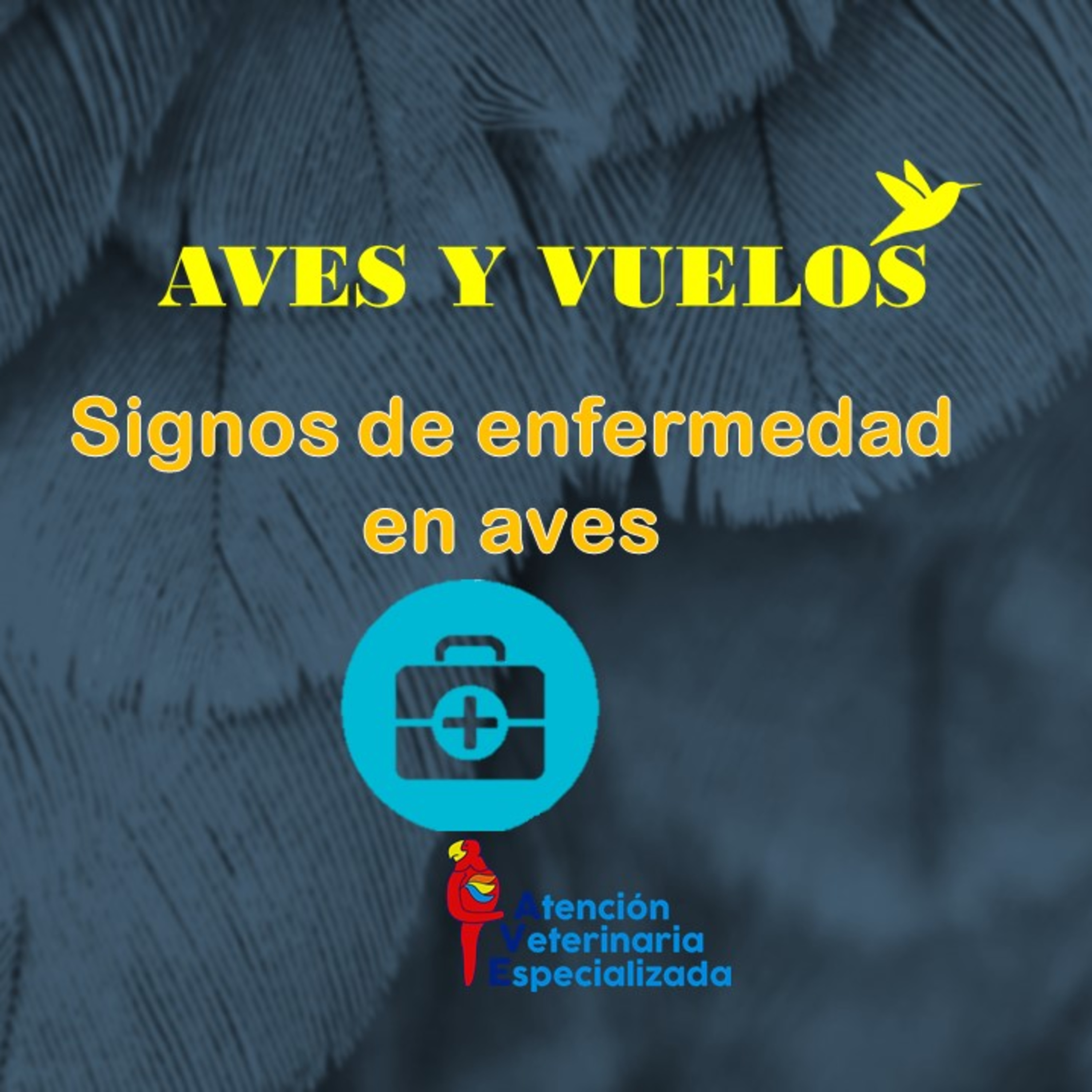 AVES Y VUELOS