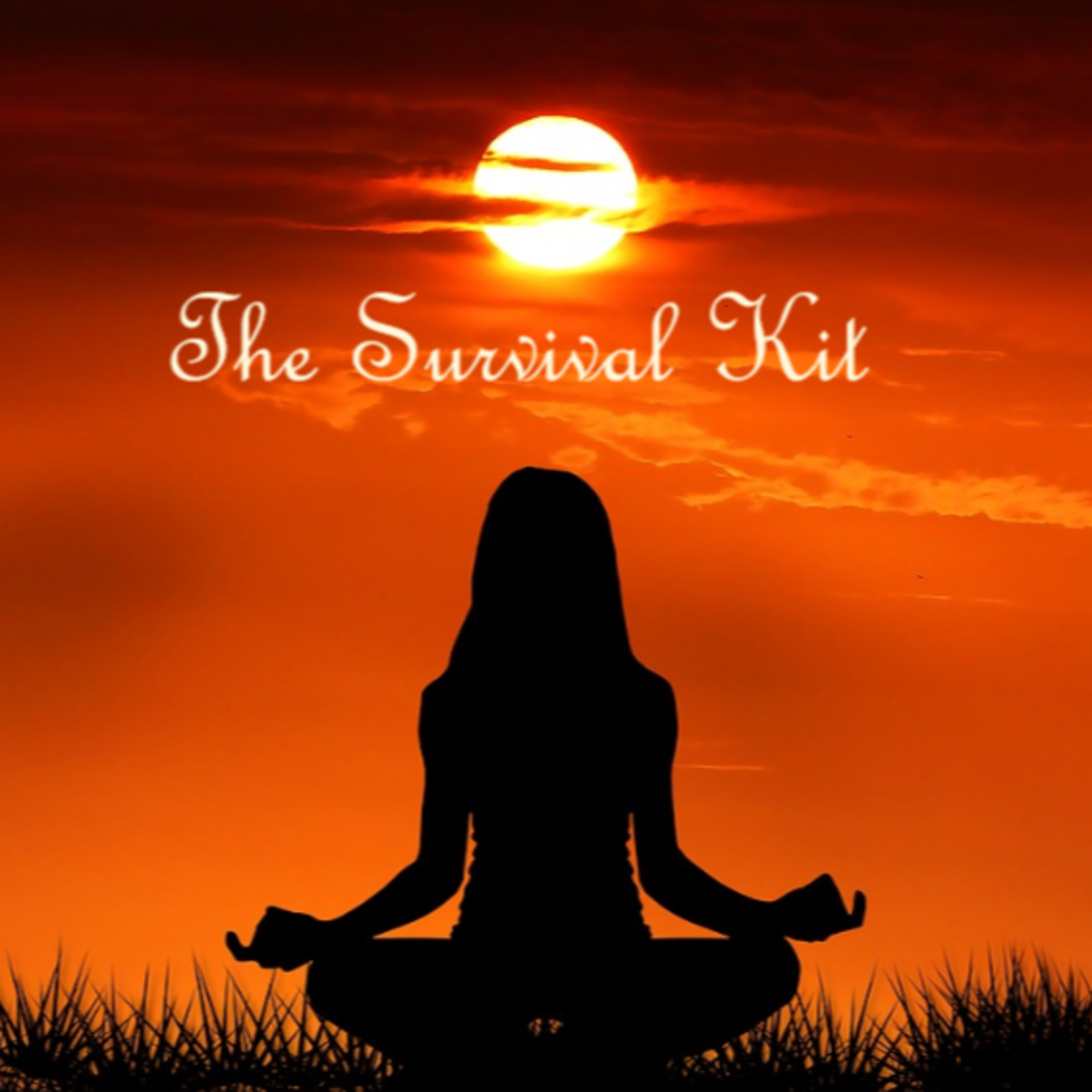 The Survival Kit episode artwork