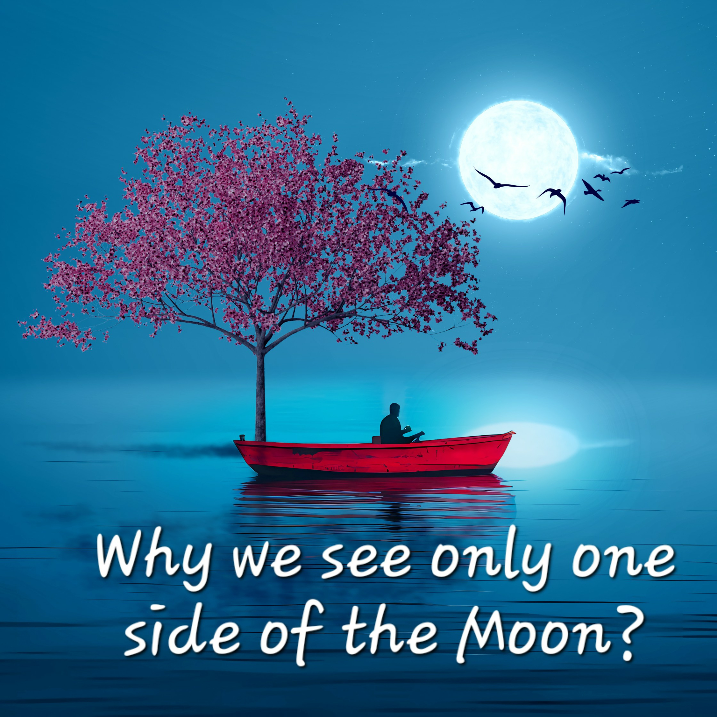Why we see only one side if the Moon? episode artwork