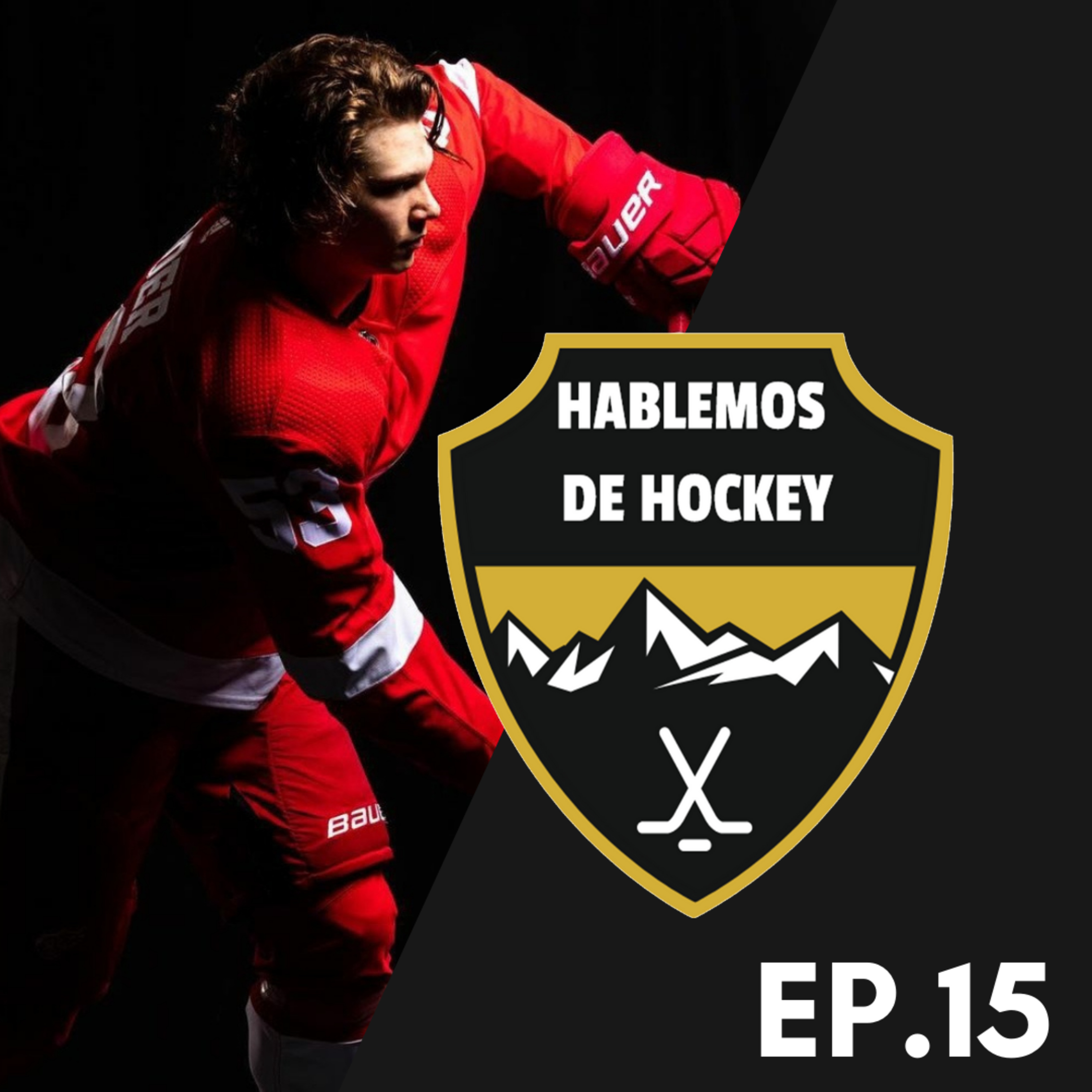 Hablemos de Hockey