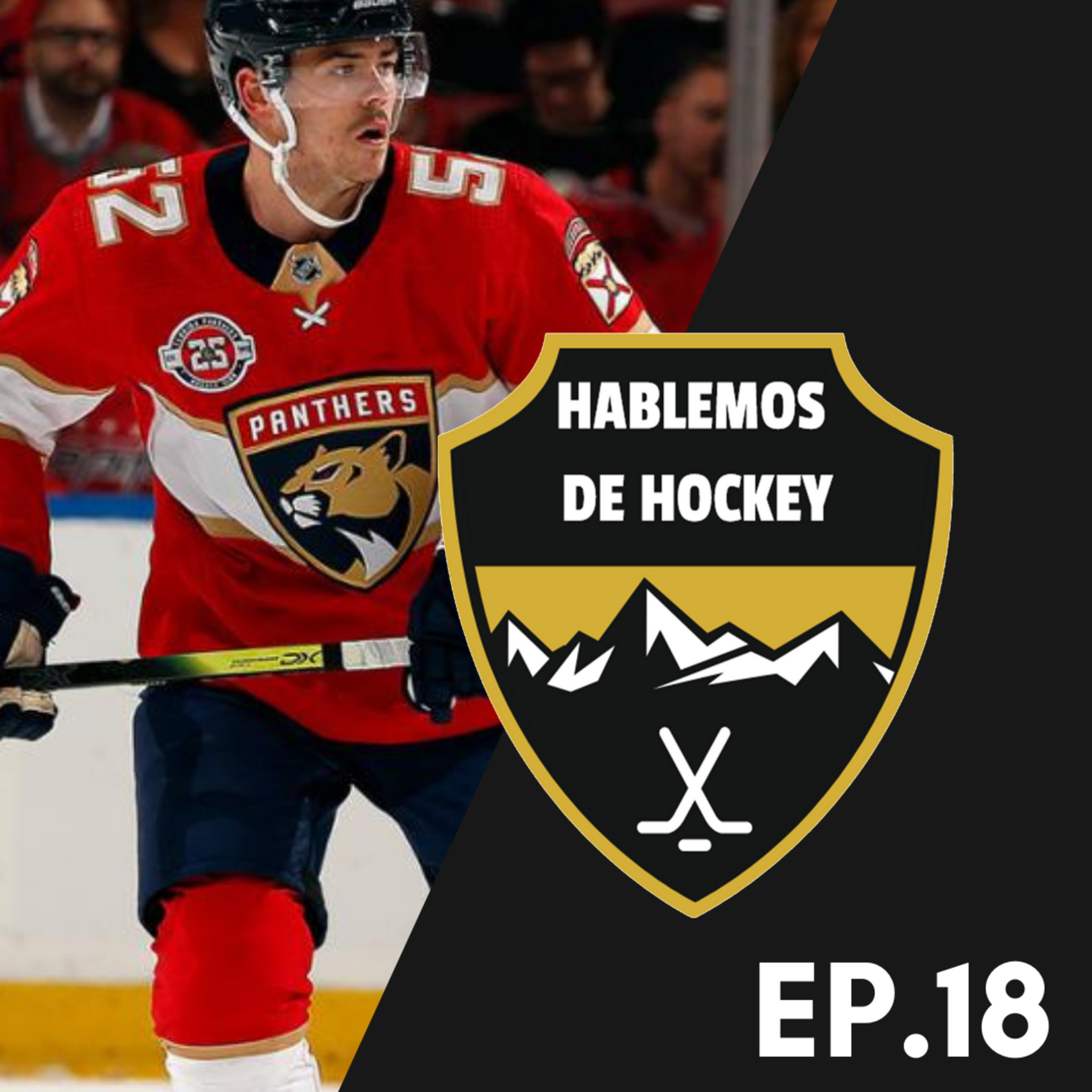 Hablemos de Hockey