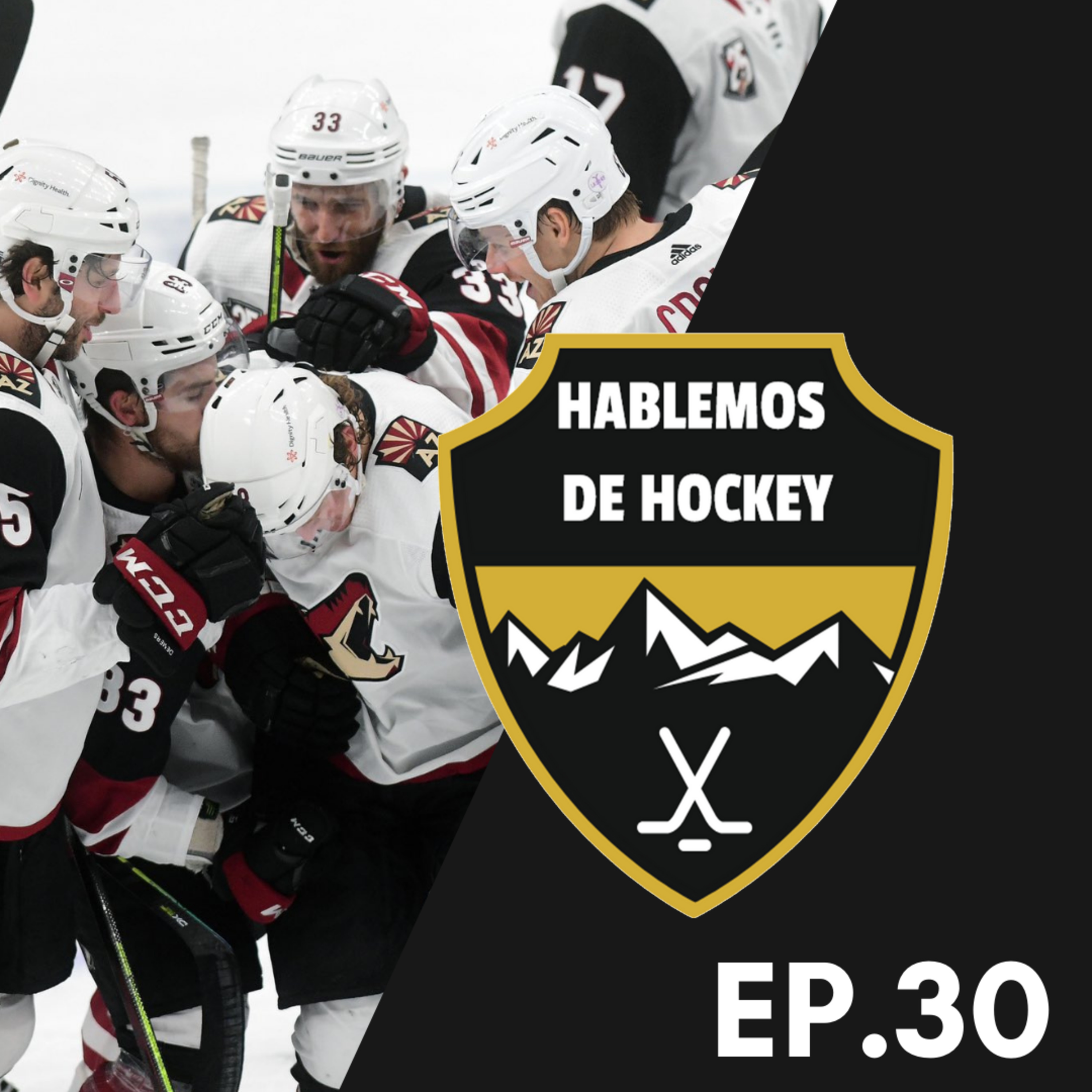 Hablemos de Hockey
