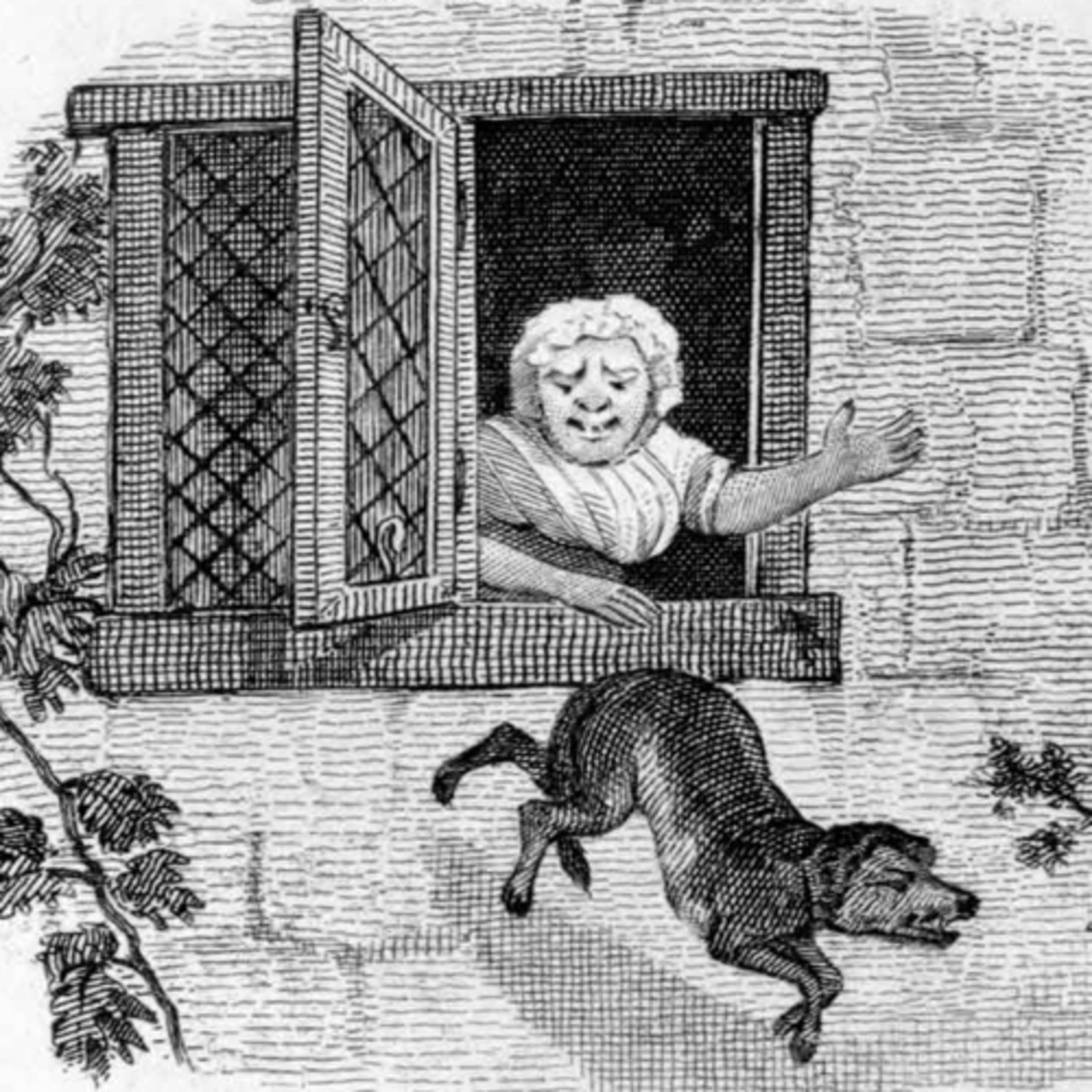 Il Contastorie: fiabe, favole, filastrocche, storie e racconti