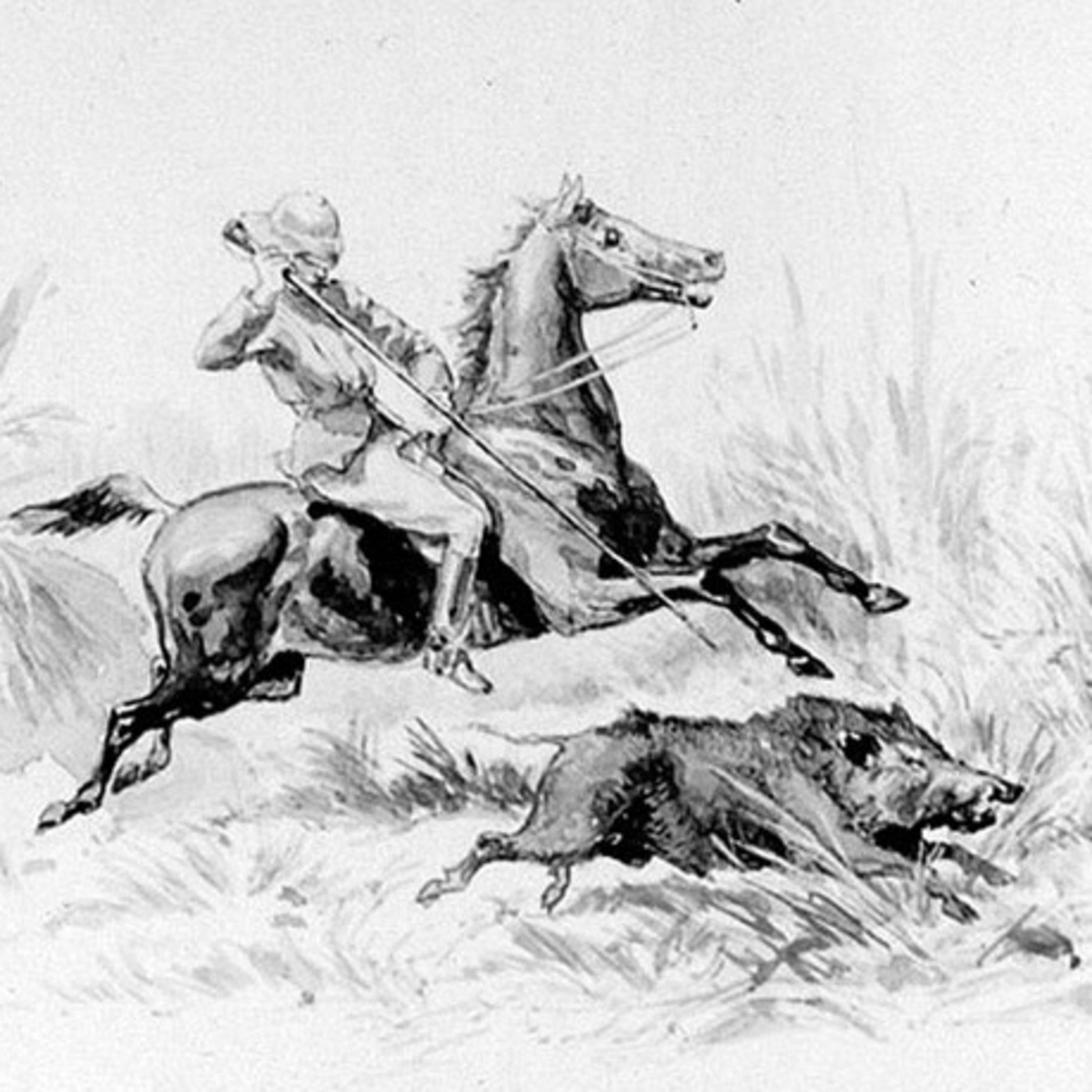 Il Contastorie: fiabe, favole, filastrocche, storie e racconti