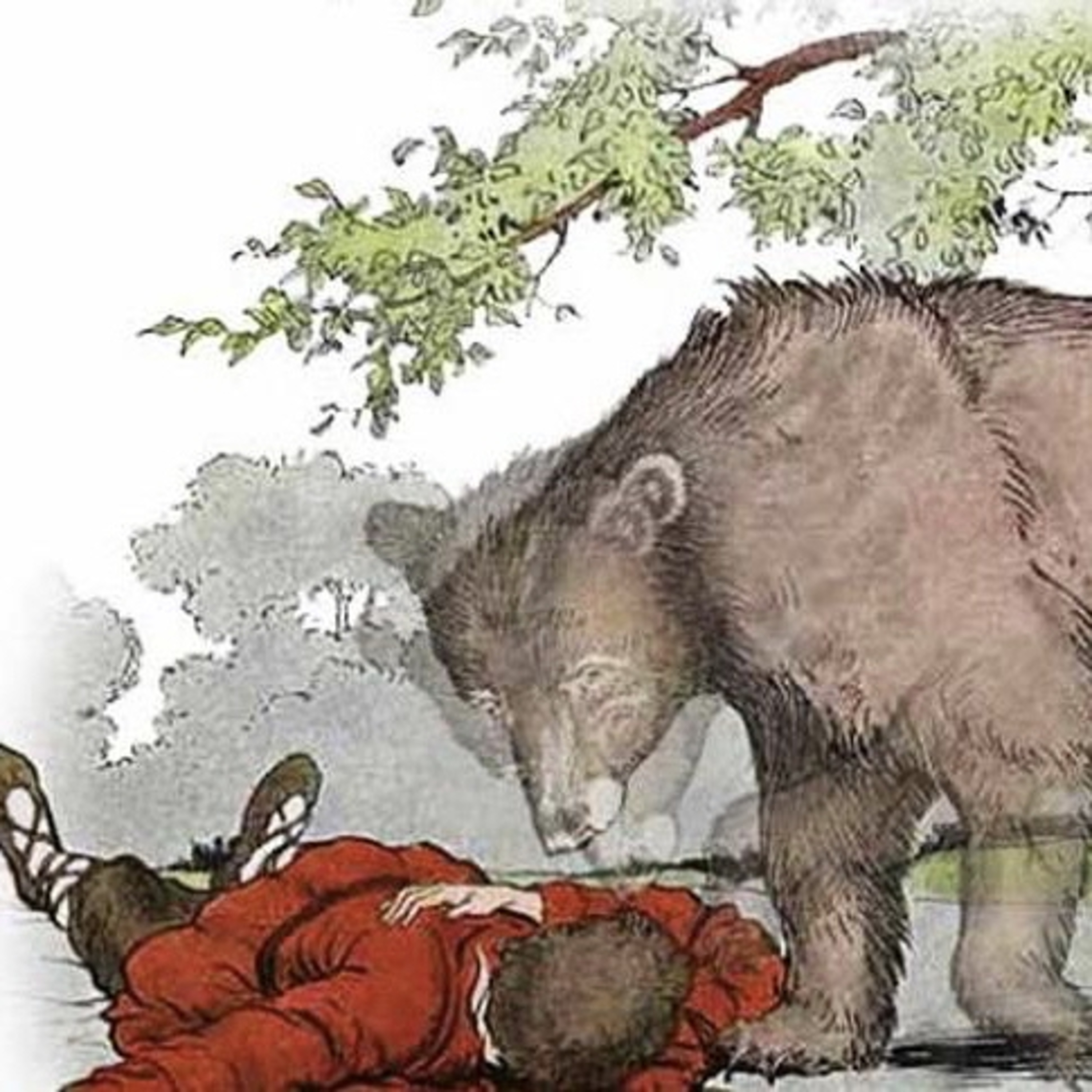 Il Contastorie: fiabe, favole, filastrocche, storie e racconti