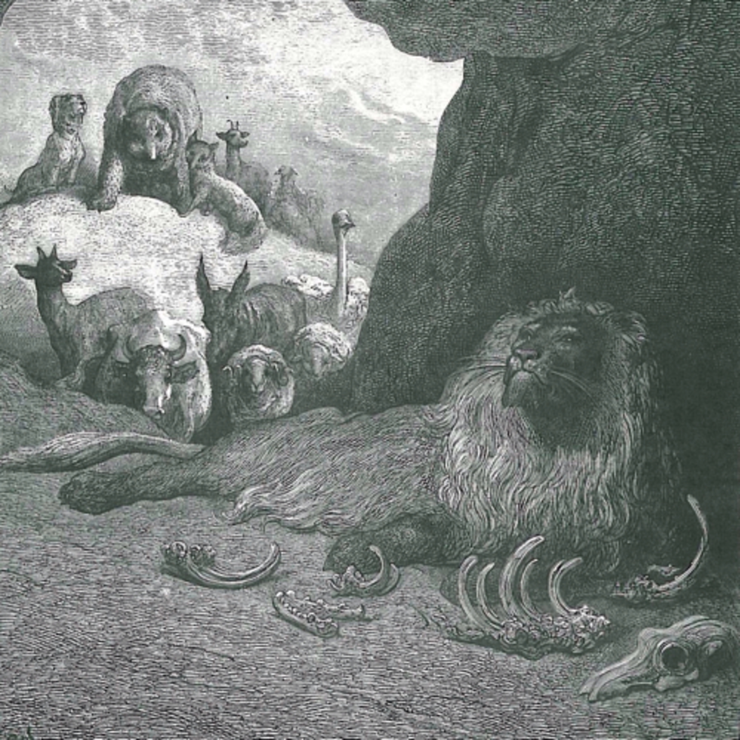Il Contastorie: fiabe, favole, filastrocche, storie e racconti
