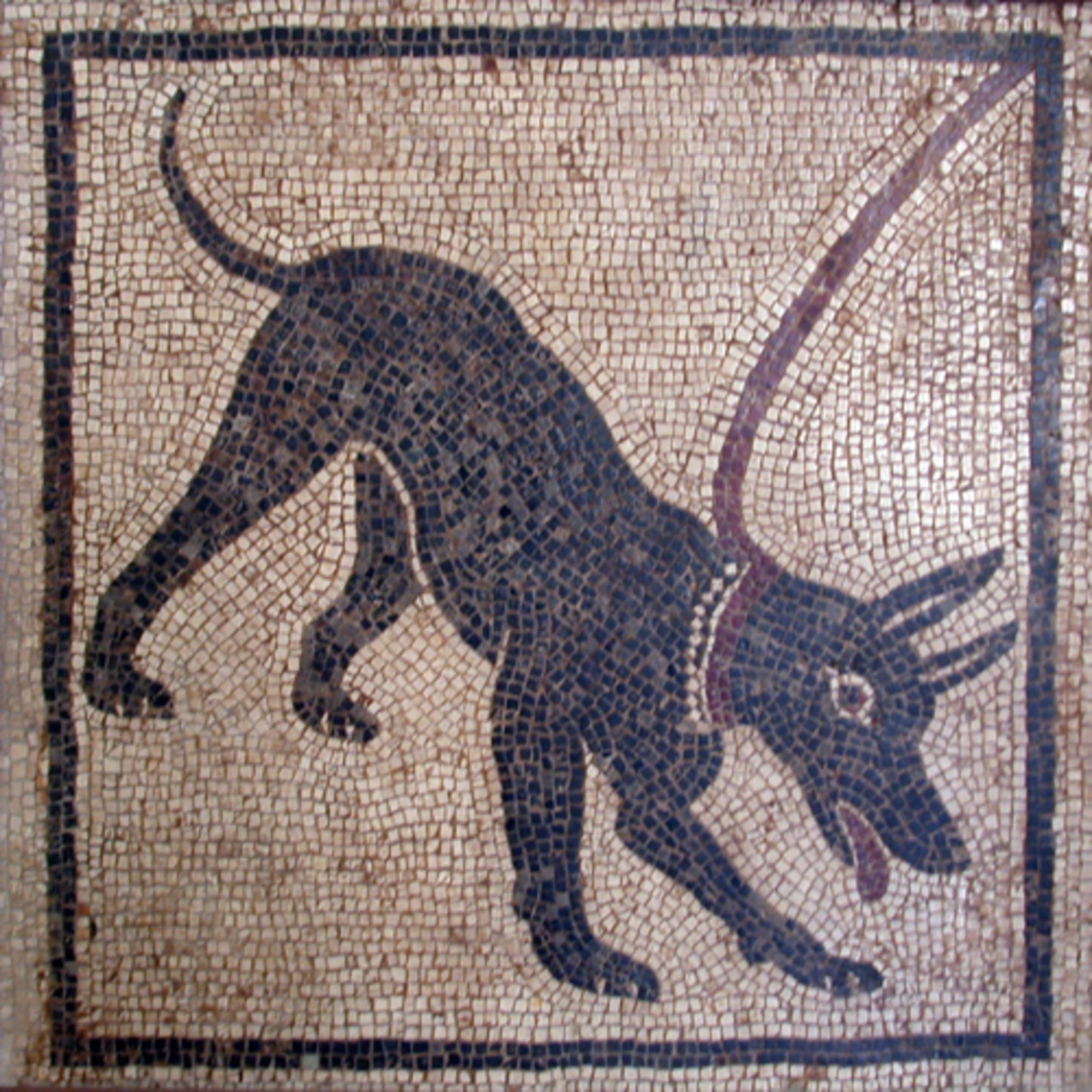 Il Contastorie: fiabe, favole, filastrocche, storie e racconti