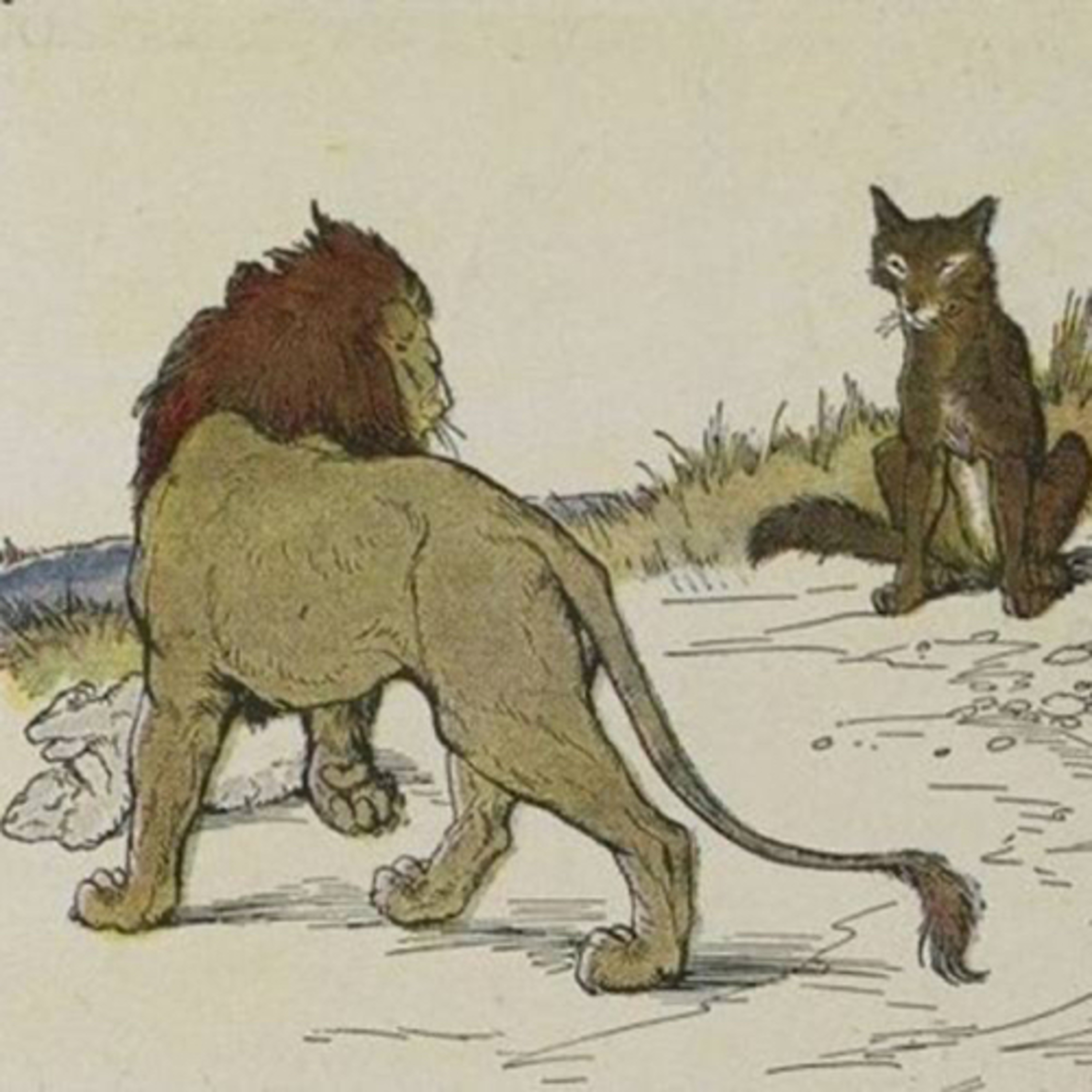 Il Contastorie: fiabe, favole, filastrocche, storie e racconti