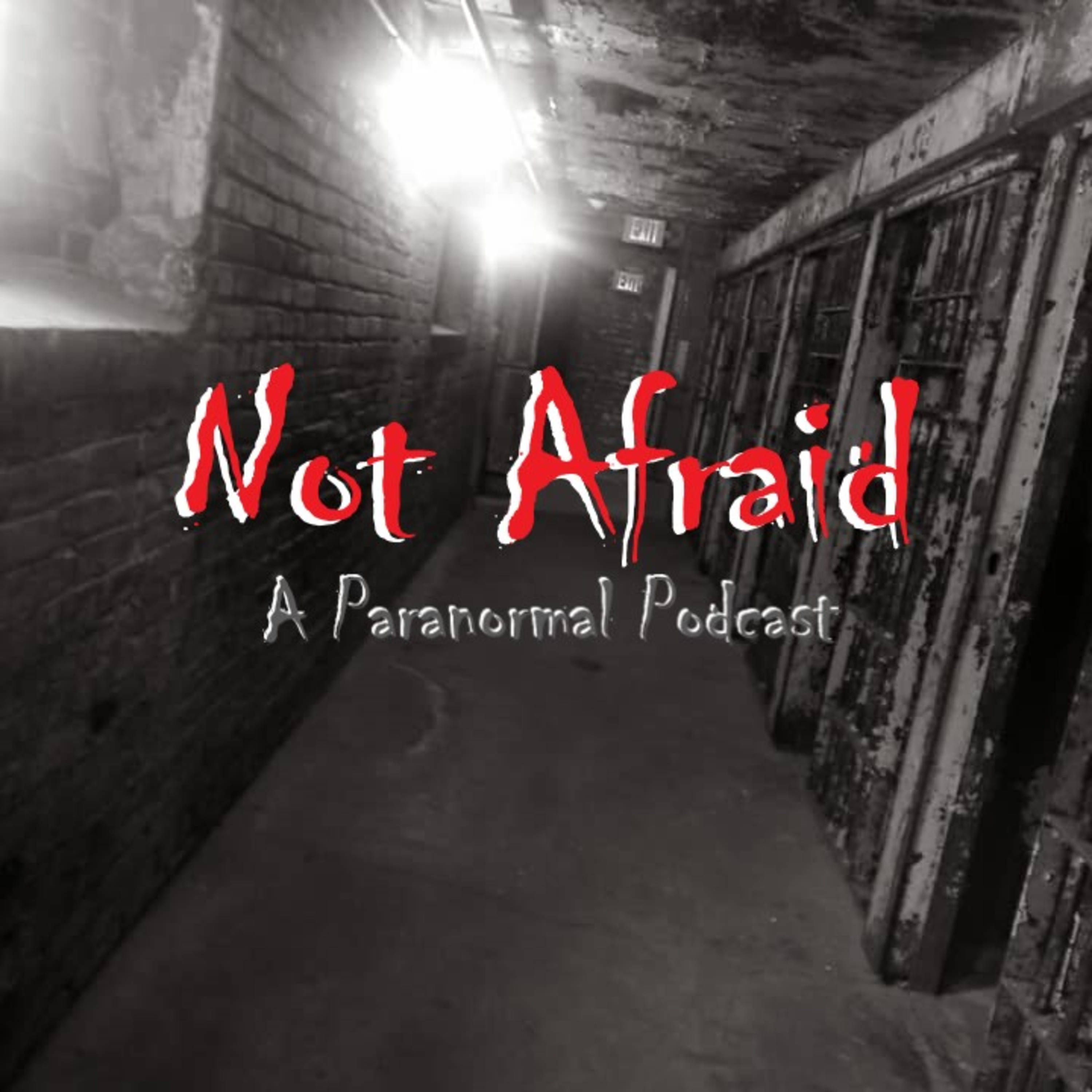 Not Afraid