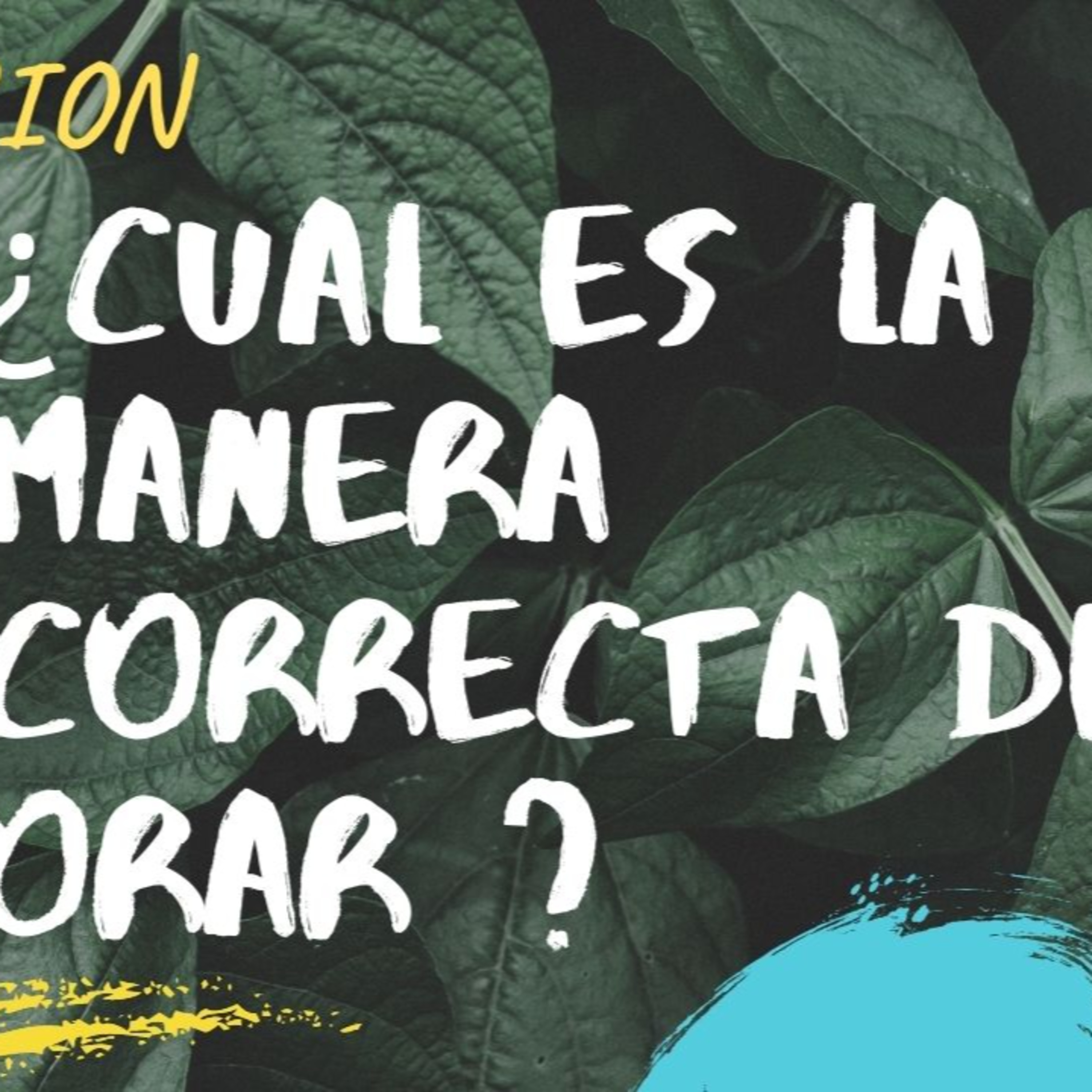 ESCRITO ESTÁ