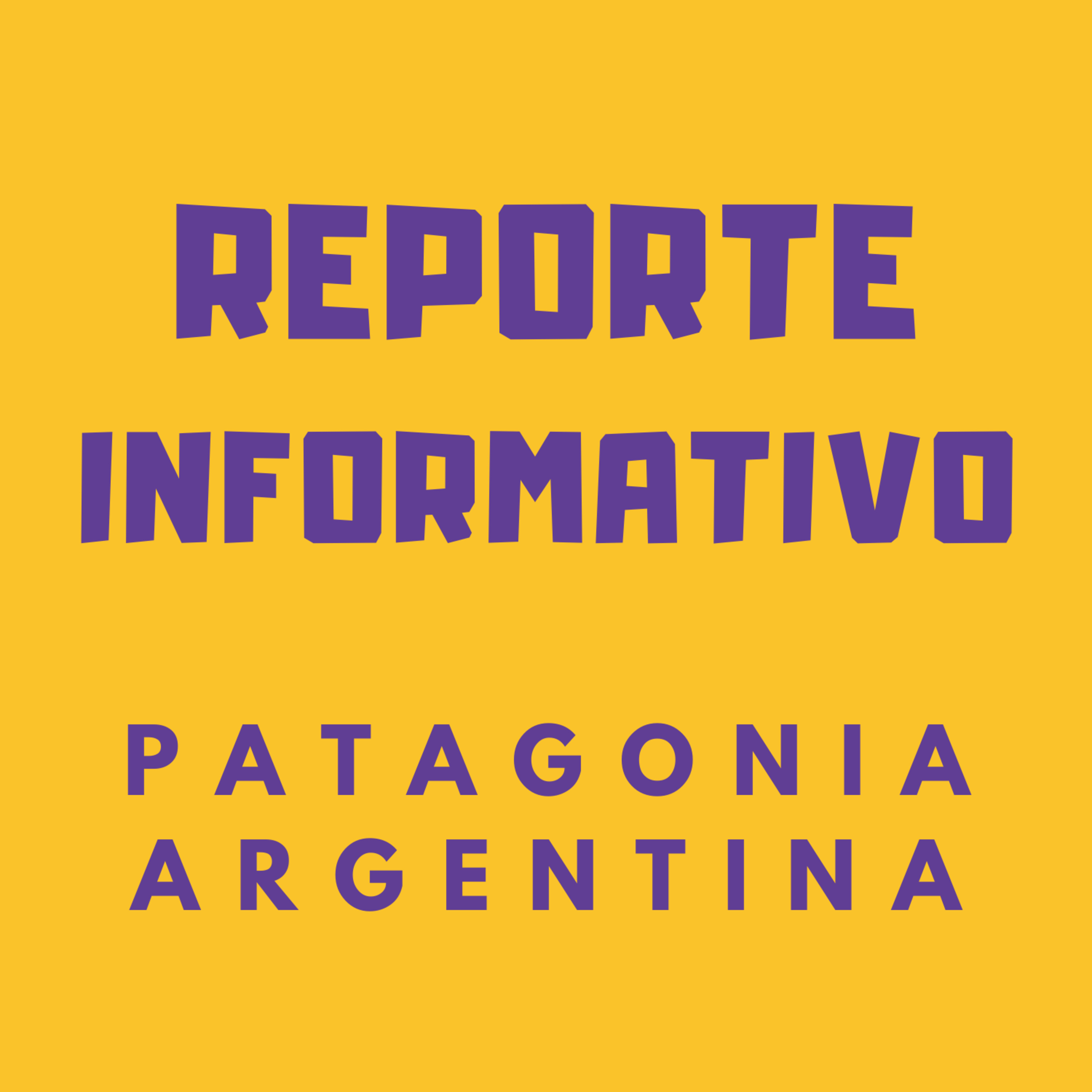 REPORTE INFORMATIVO