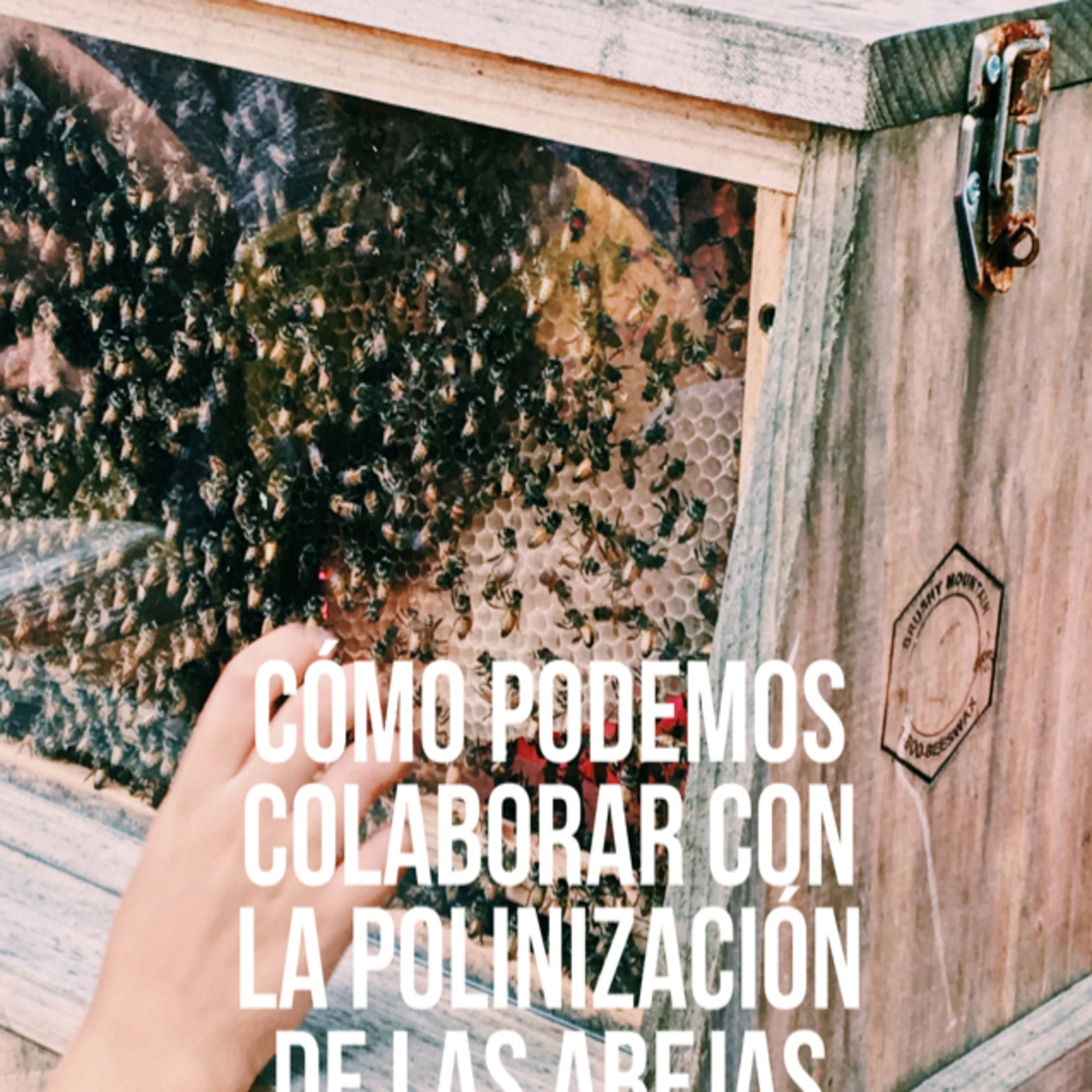 Educando en el hogar