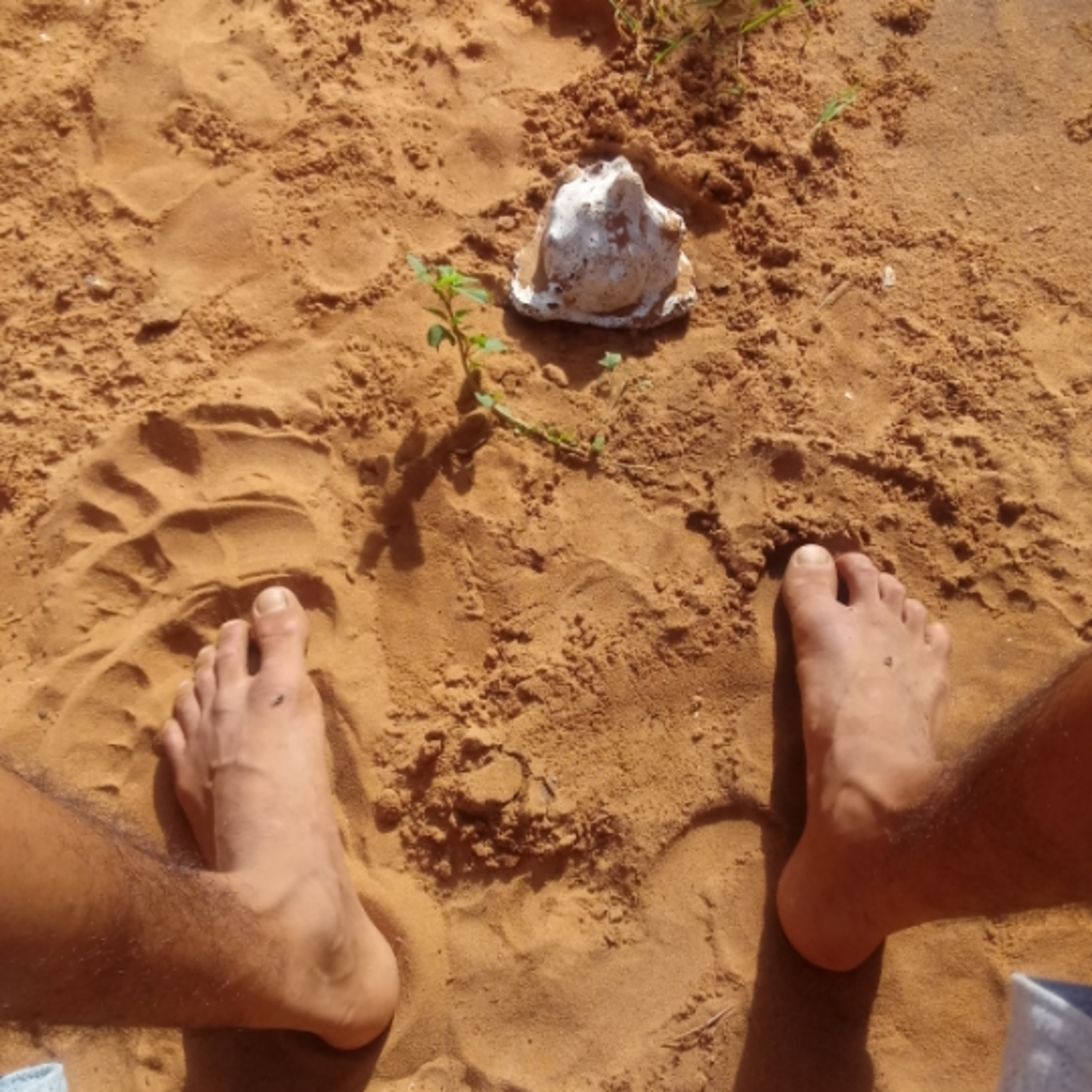 O dia amanheceu grão de areia aos pés episode artwork