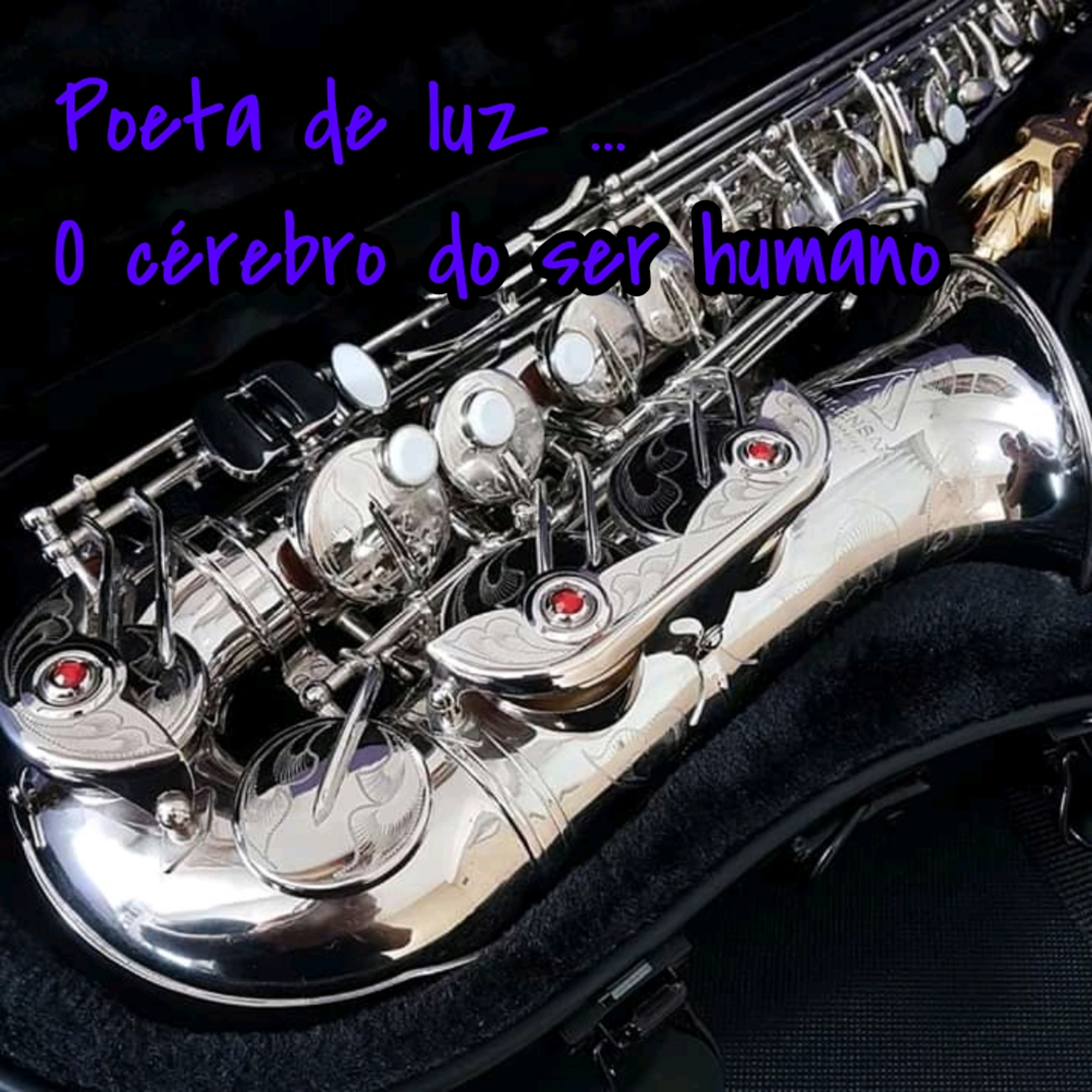 Poeta de luz ...O cérebro do ser humano episode artwork