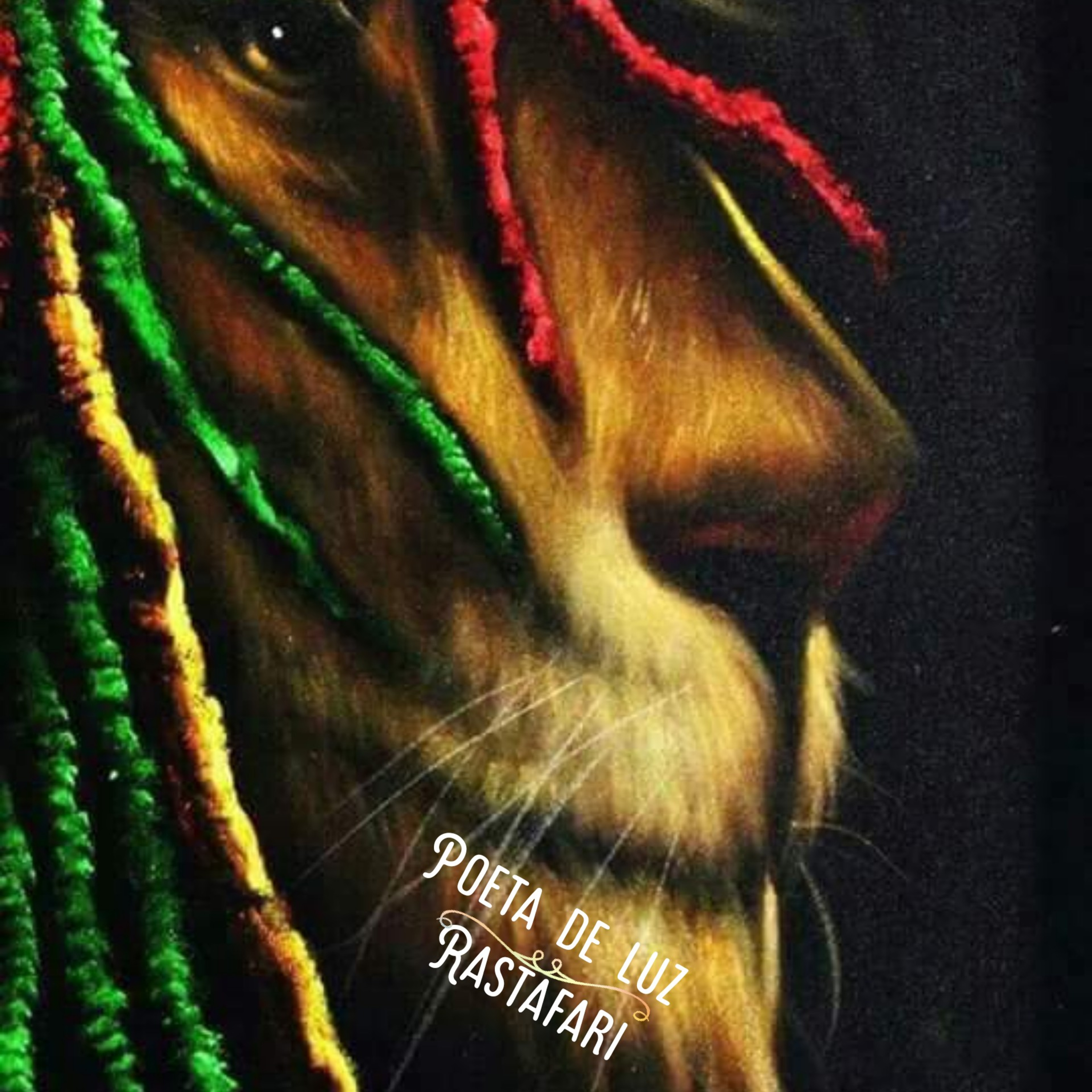 Poeta de luz. Rastafari episode artwork