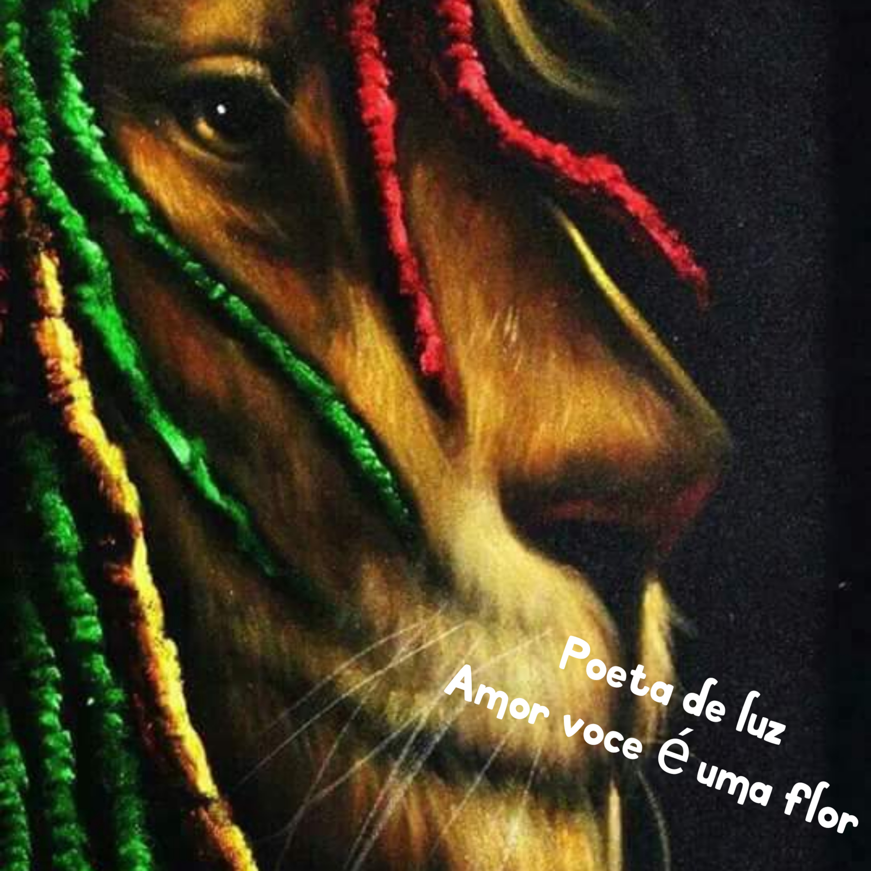 Poeta de luz.Amor voce é uma flor episode artwork