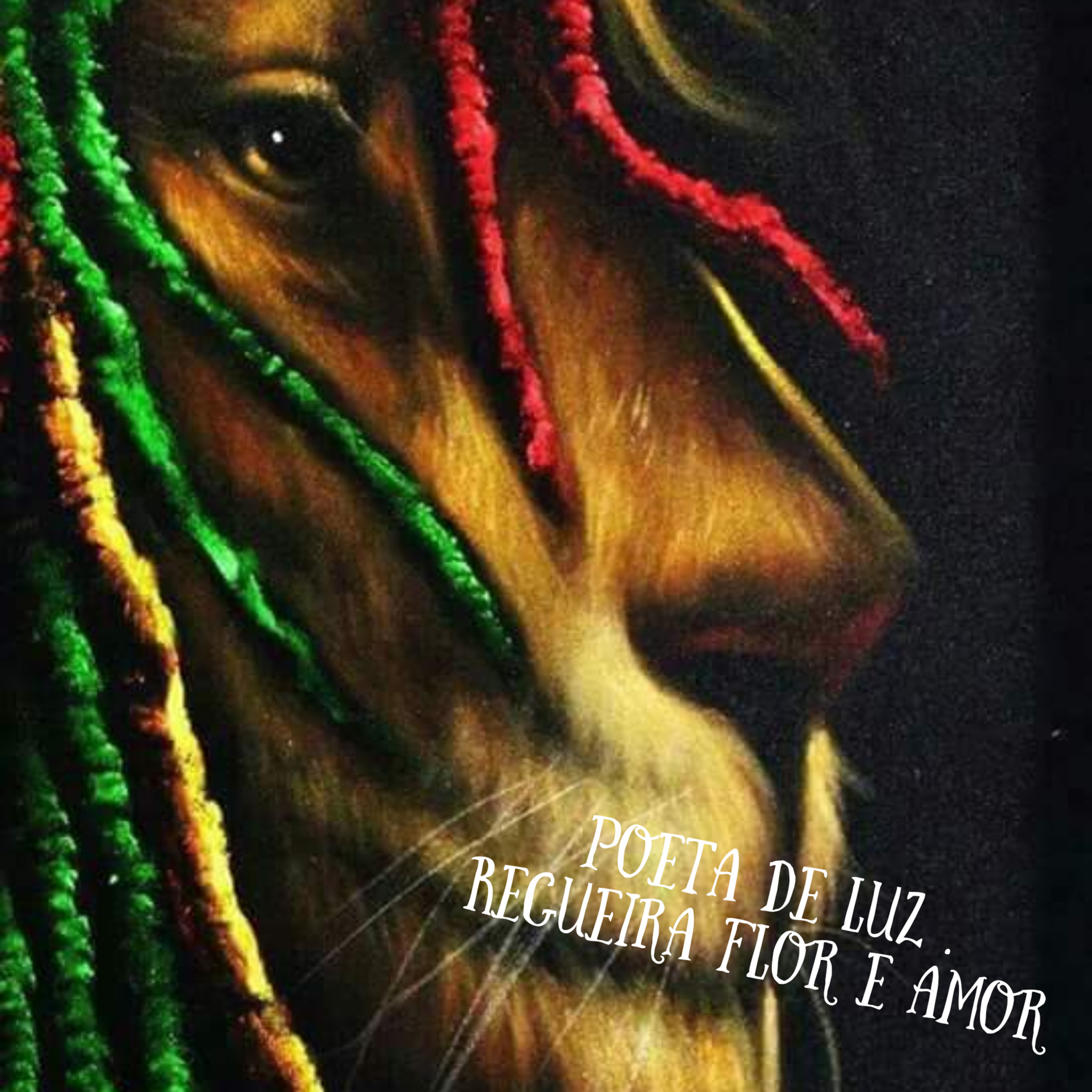 Poeta de luz .Regueira flor e amor episode artwork