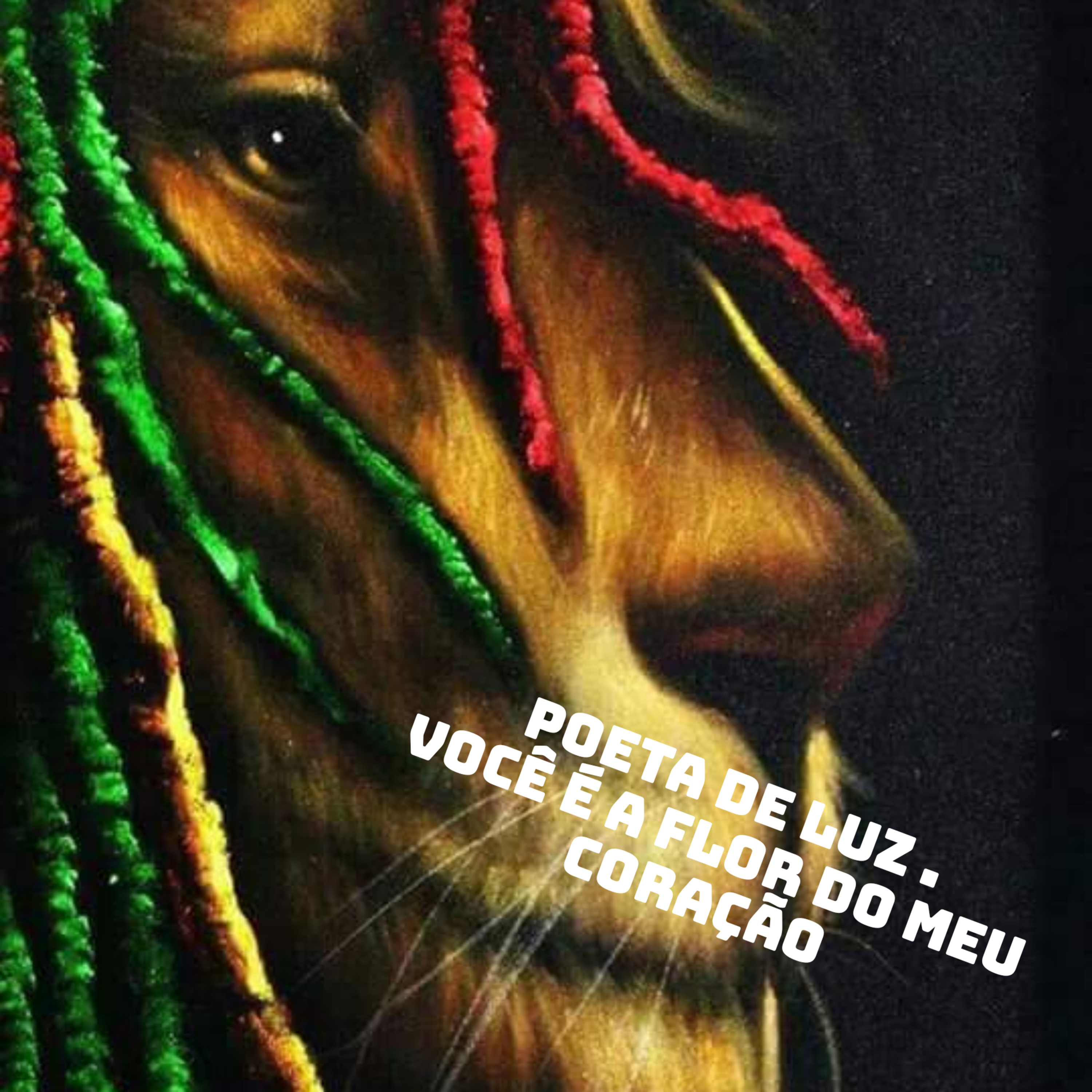 Poeta de luz .Você é a flor do meu coração episode artwork